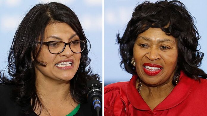Tlaib accused of seeking ‘rock star’ status, ignoring constituents in tough primary challenge