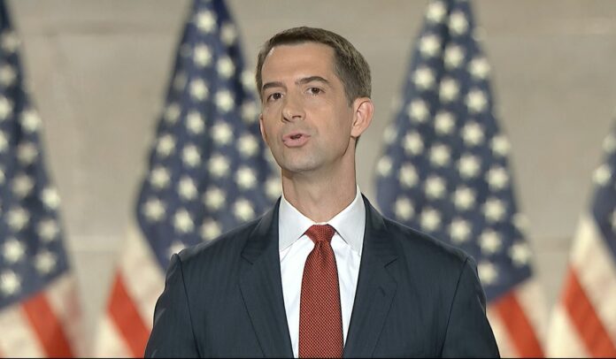 Tom Cotton: Joe Biden is panicking, overmatched by recent violence