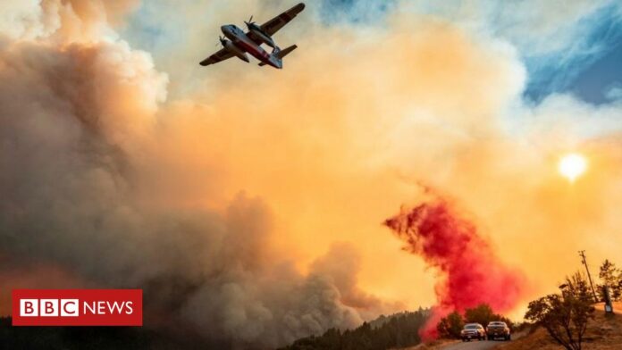 Trump declares California wildfires major disaster