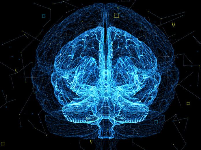 What happens in the brain when we sleep?