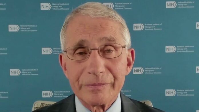 Fauci warns that US needs to be prepared to ‘hunker down’ for fall, winter