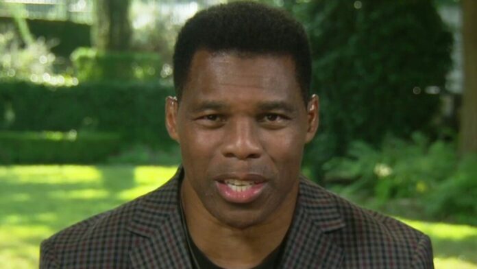 Herschel Walker reveals ‘truth’ about BLM, Trump: ‘I’m going to fight for’ America