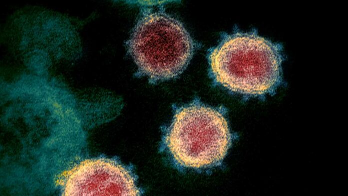 Maine CDC reports 20 additional coronavirus cases, 29 new recoveries