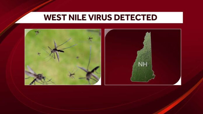 West Nile virus detected in New Hampshire for first time this season, health officials say