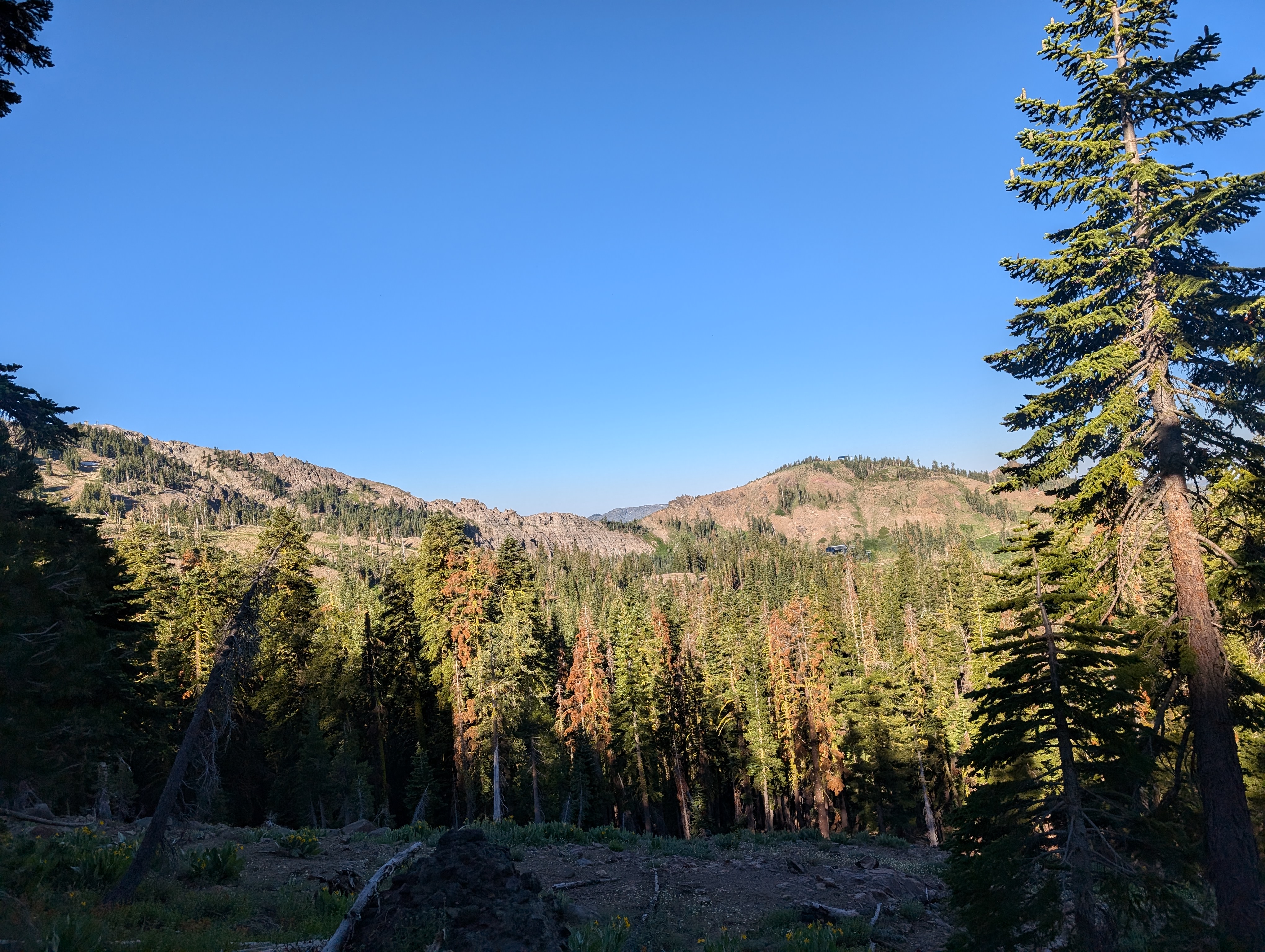 Sugar Bowl Ski Area