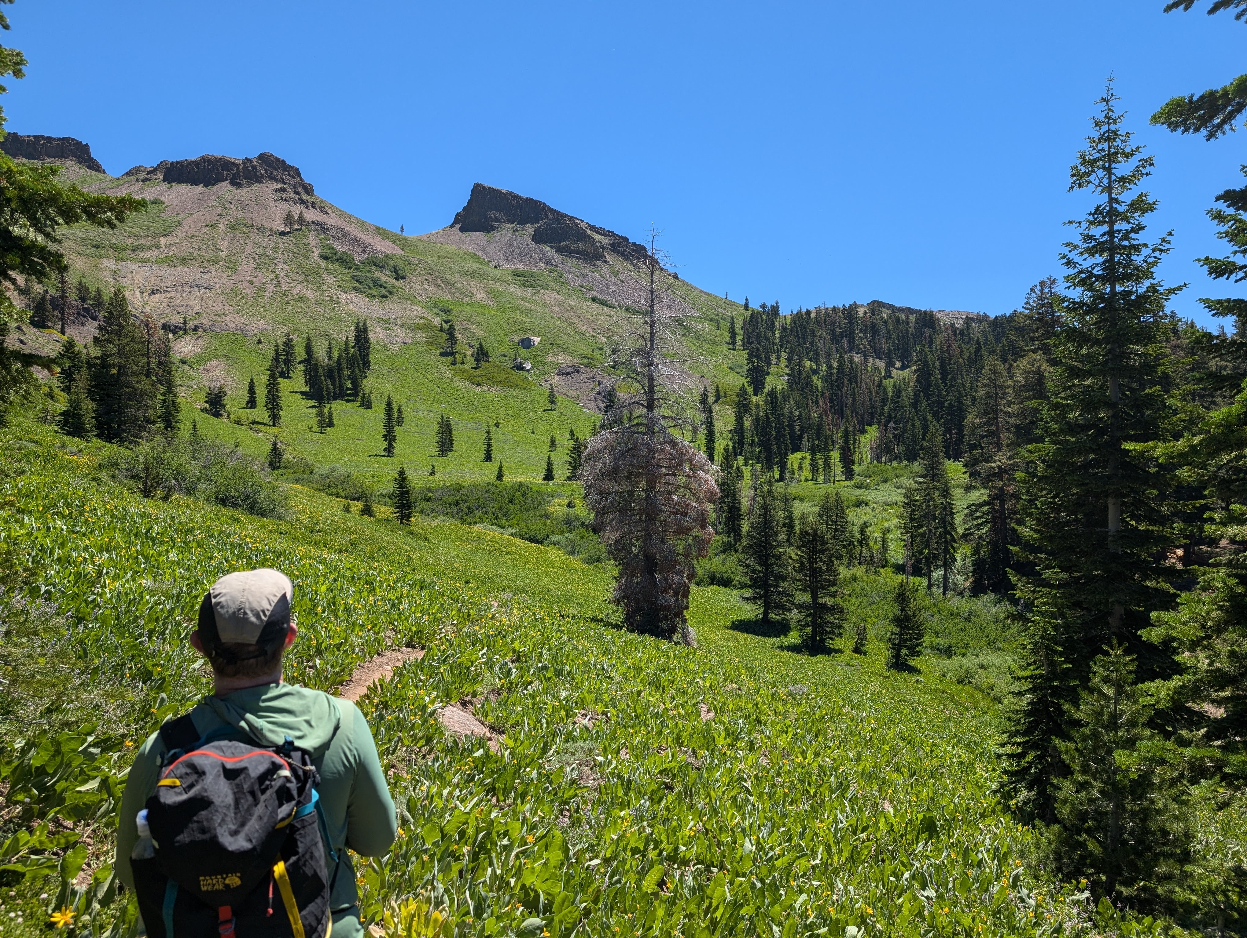 The lush west side of the Sierra Crest