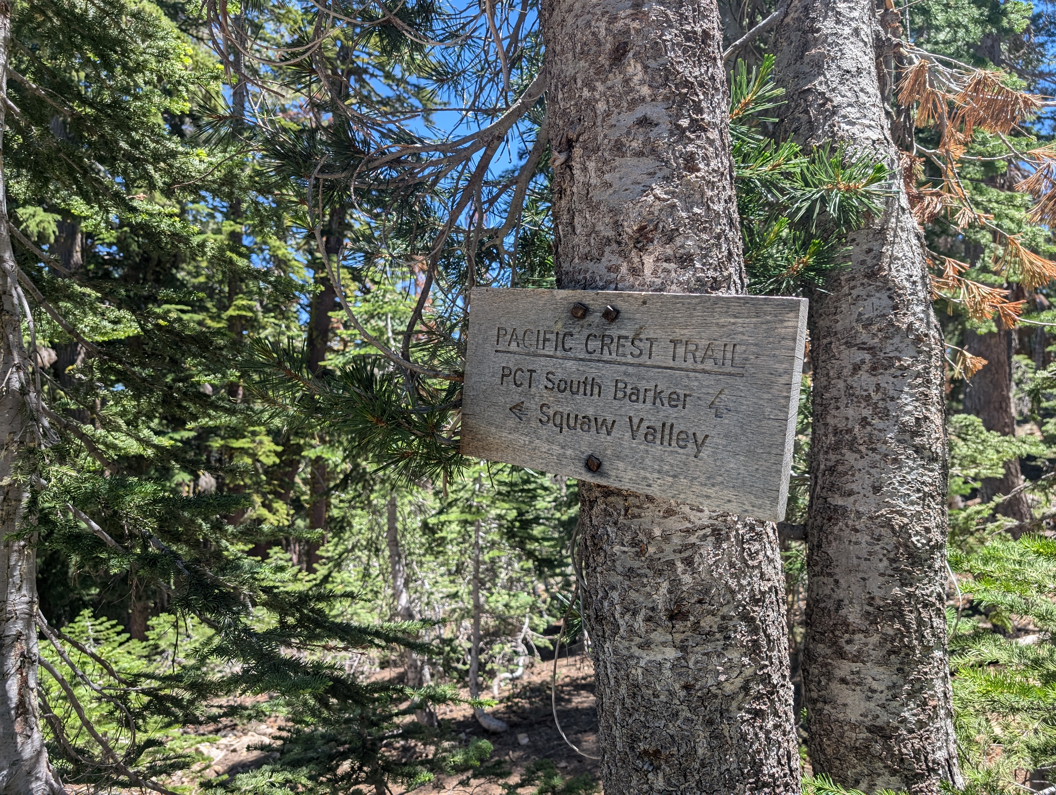 Where we departed the PCT for the day