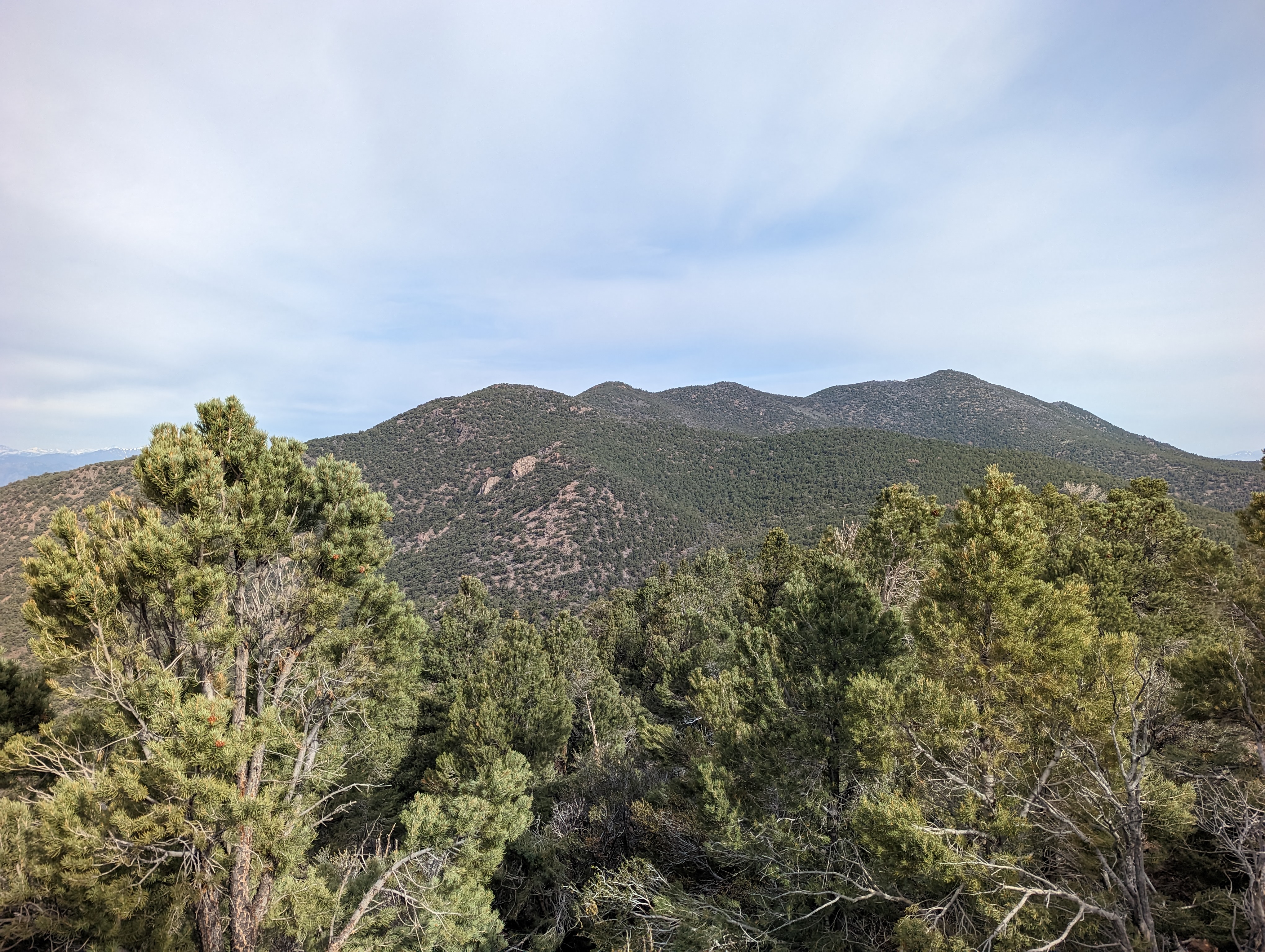 Desert Creek Peak to the north