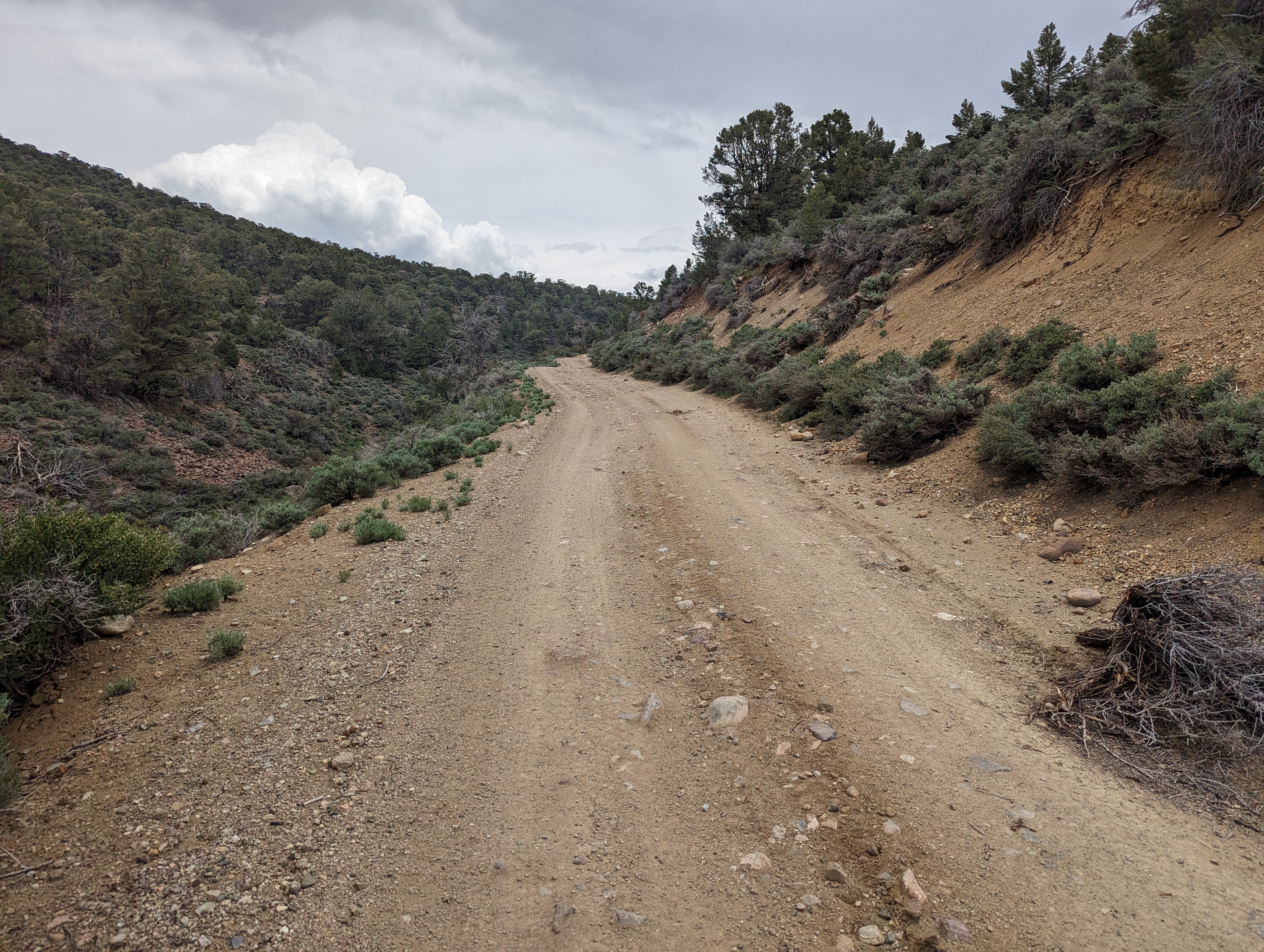 Walking back up the road