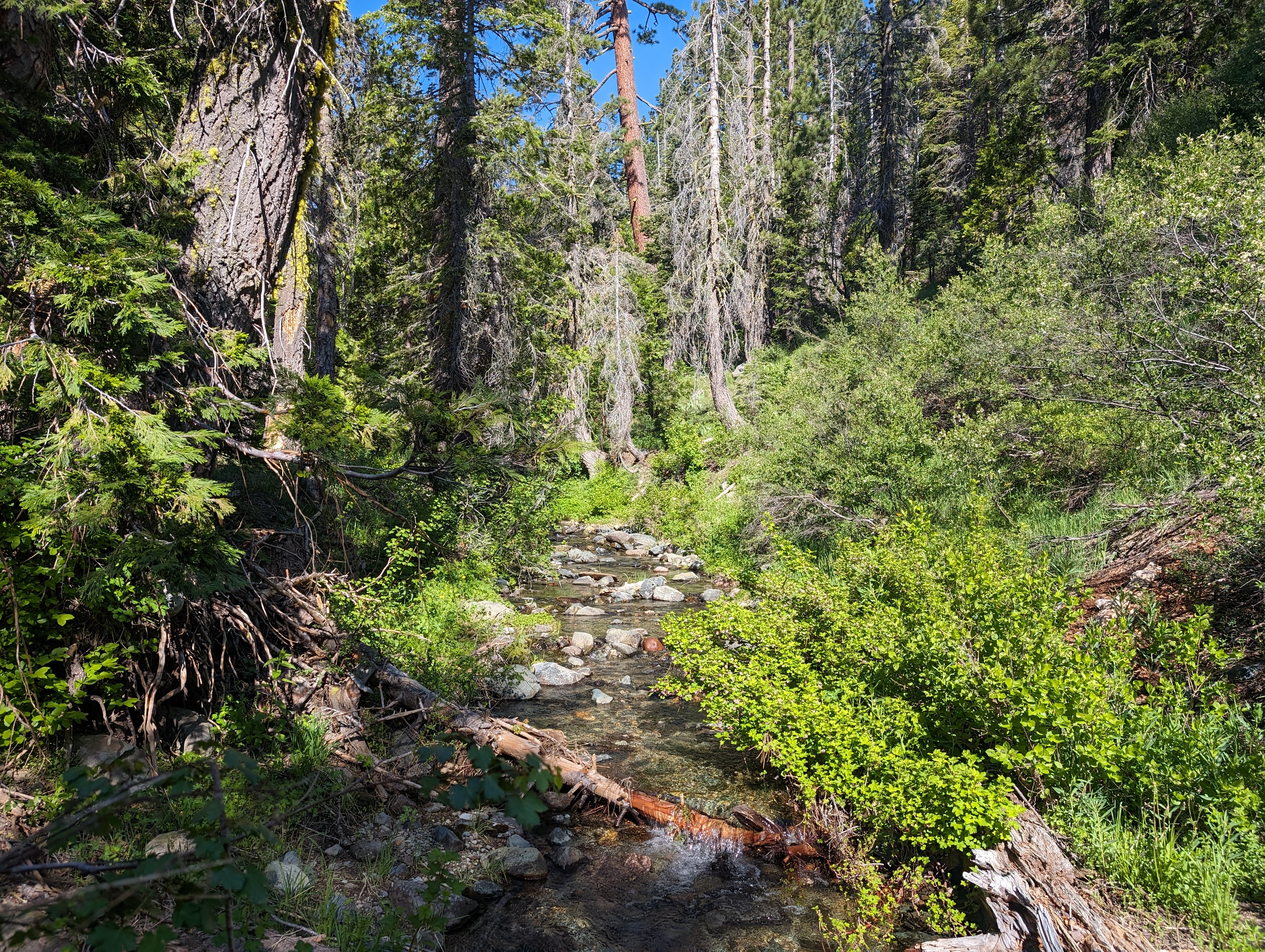 Long Valley Creek