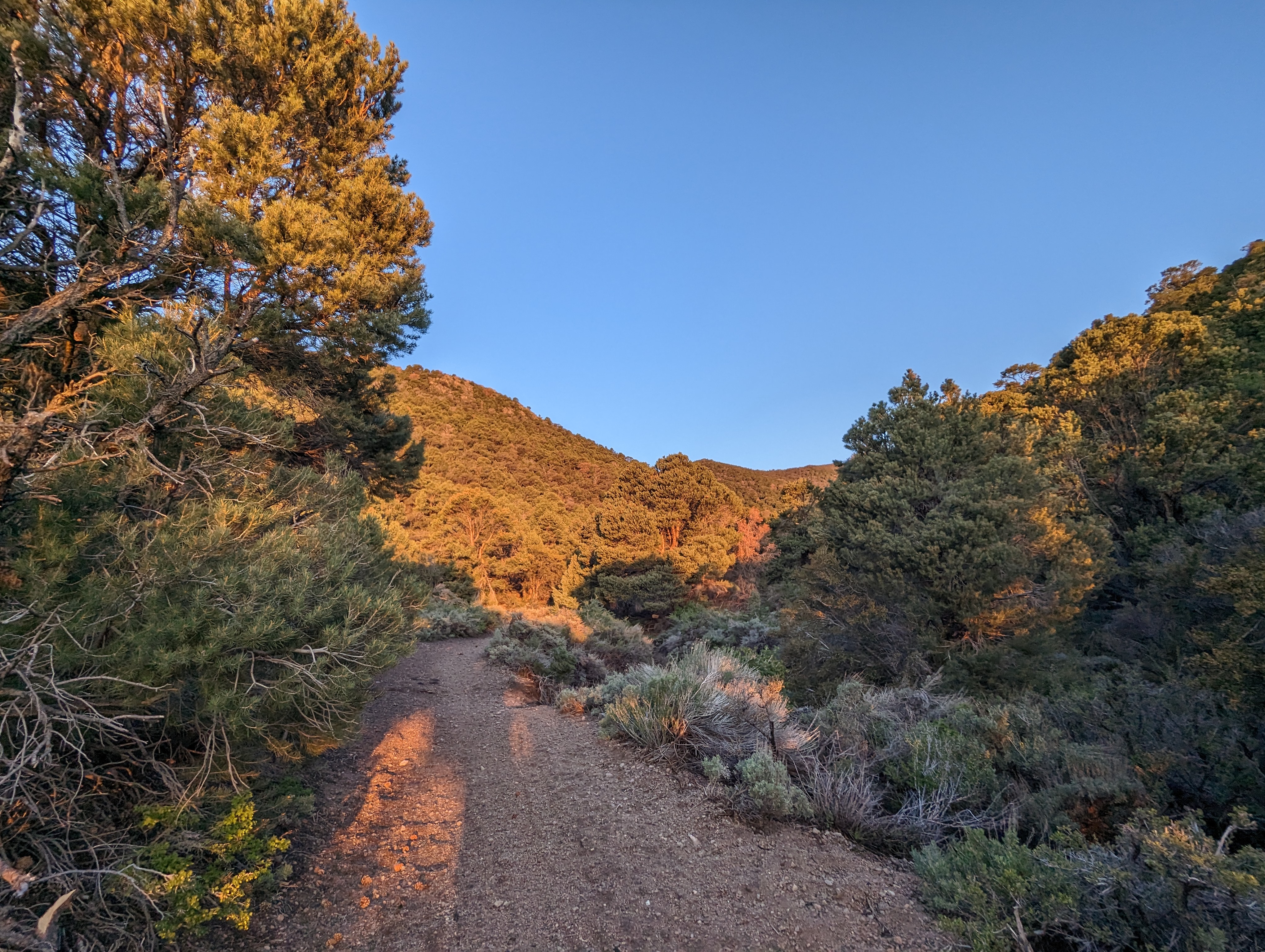 The brief section of road I walked