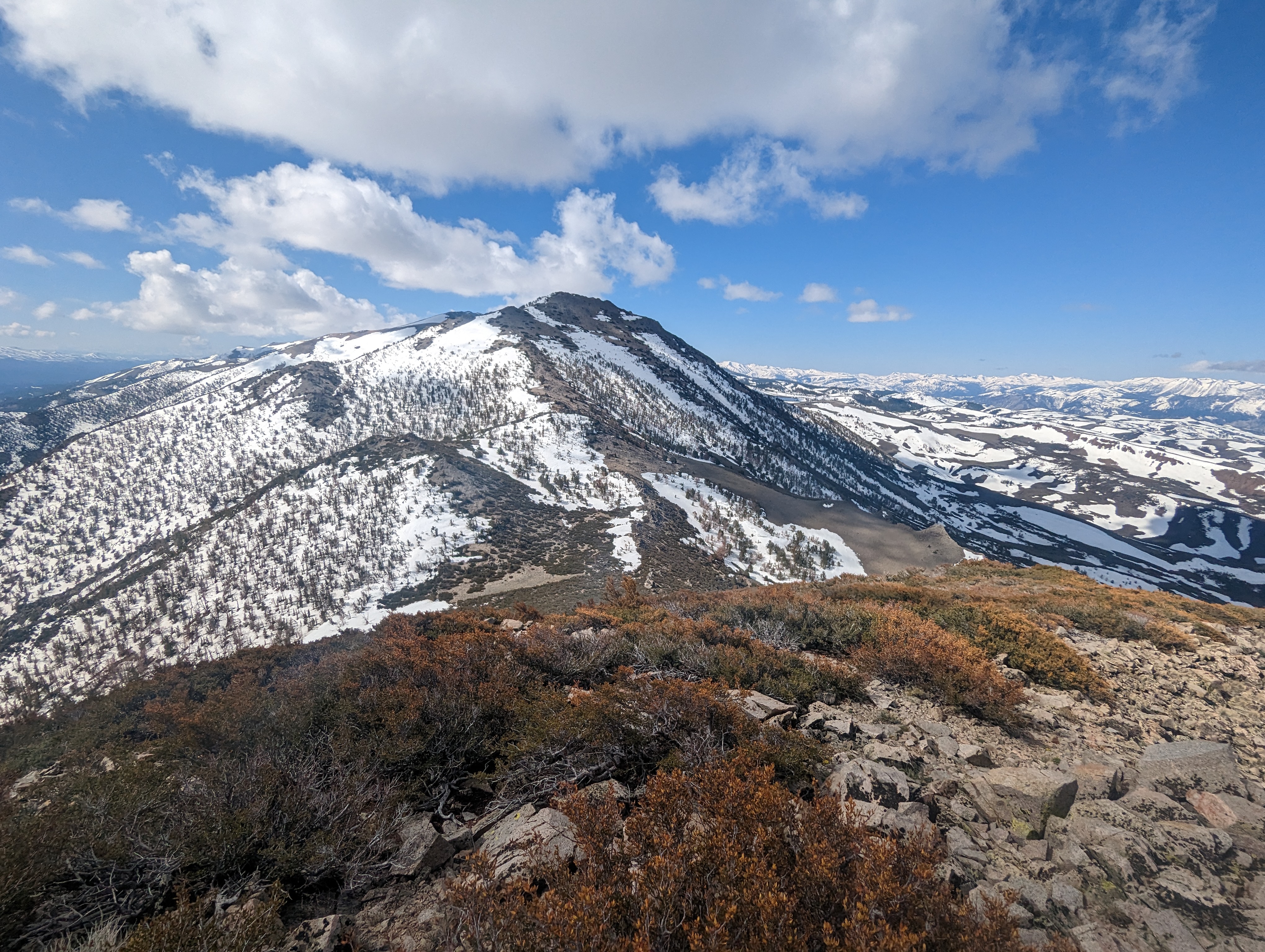 The bushwhack down East Sister