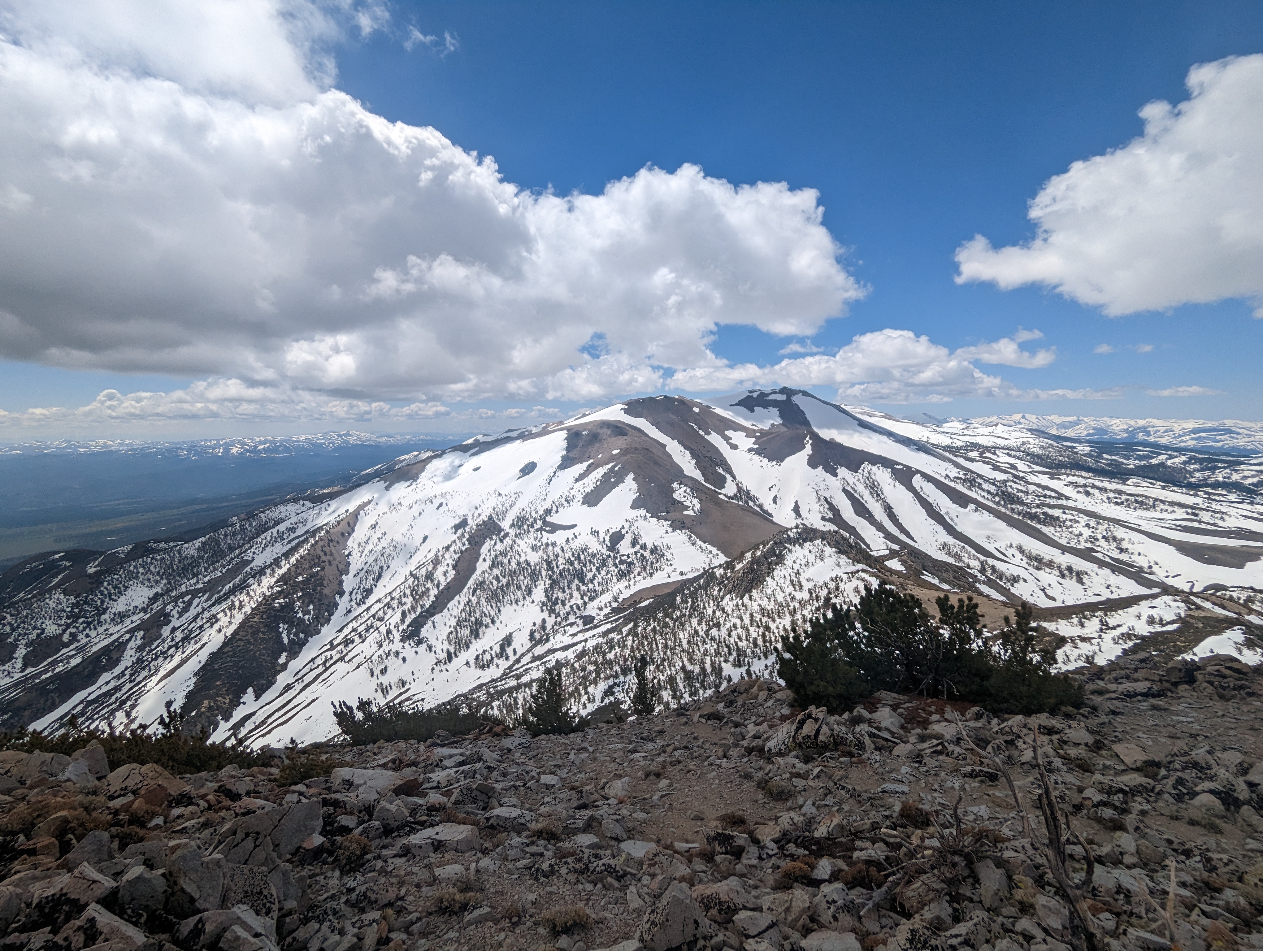 South Sister