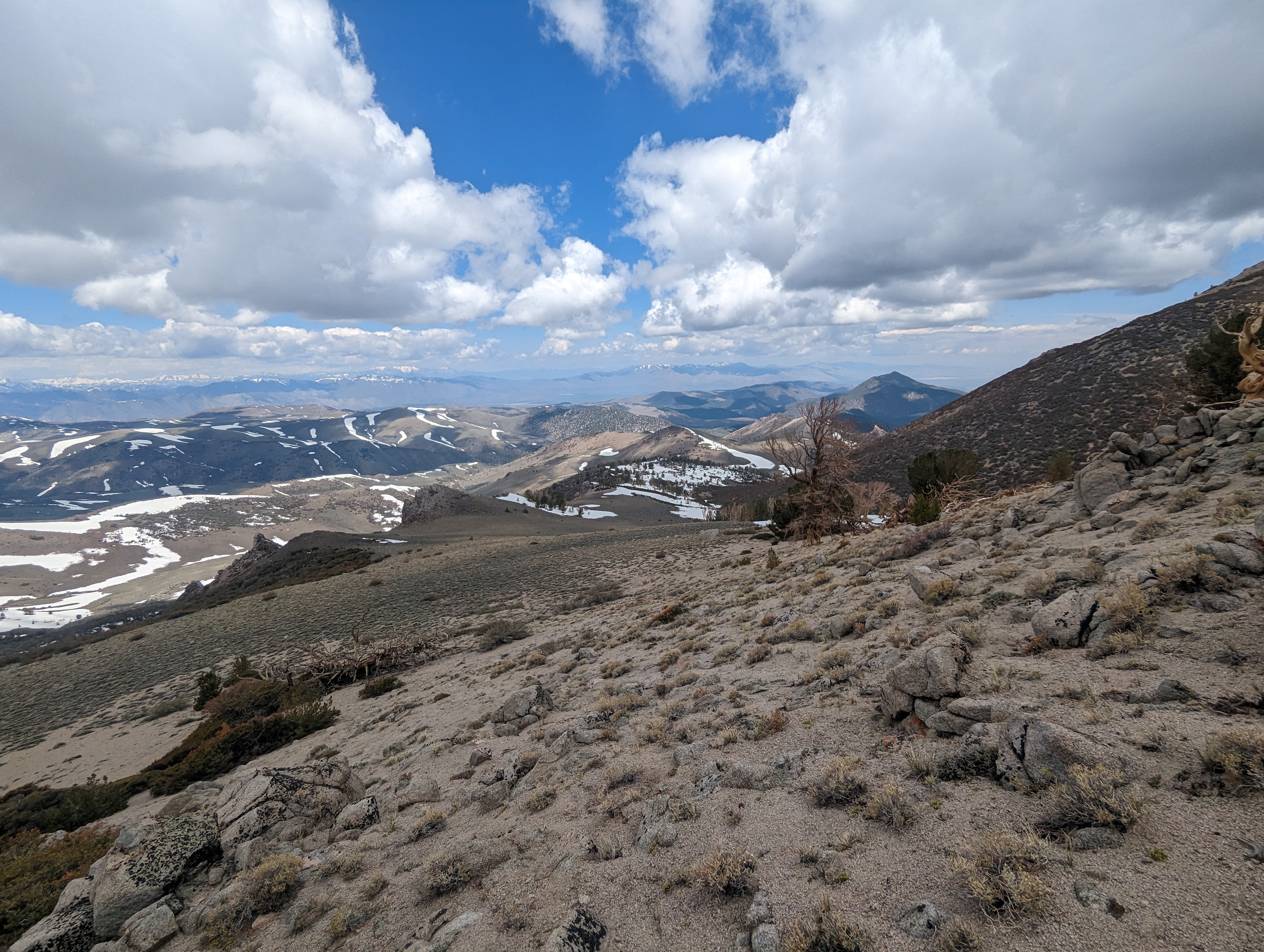 Near the low point between East and Middle Sisters