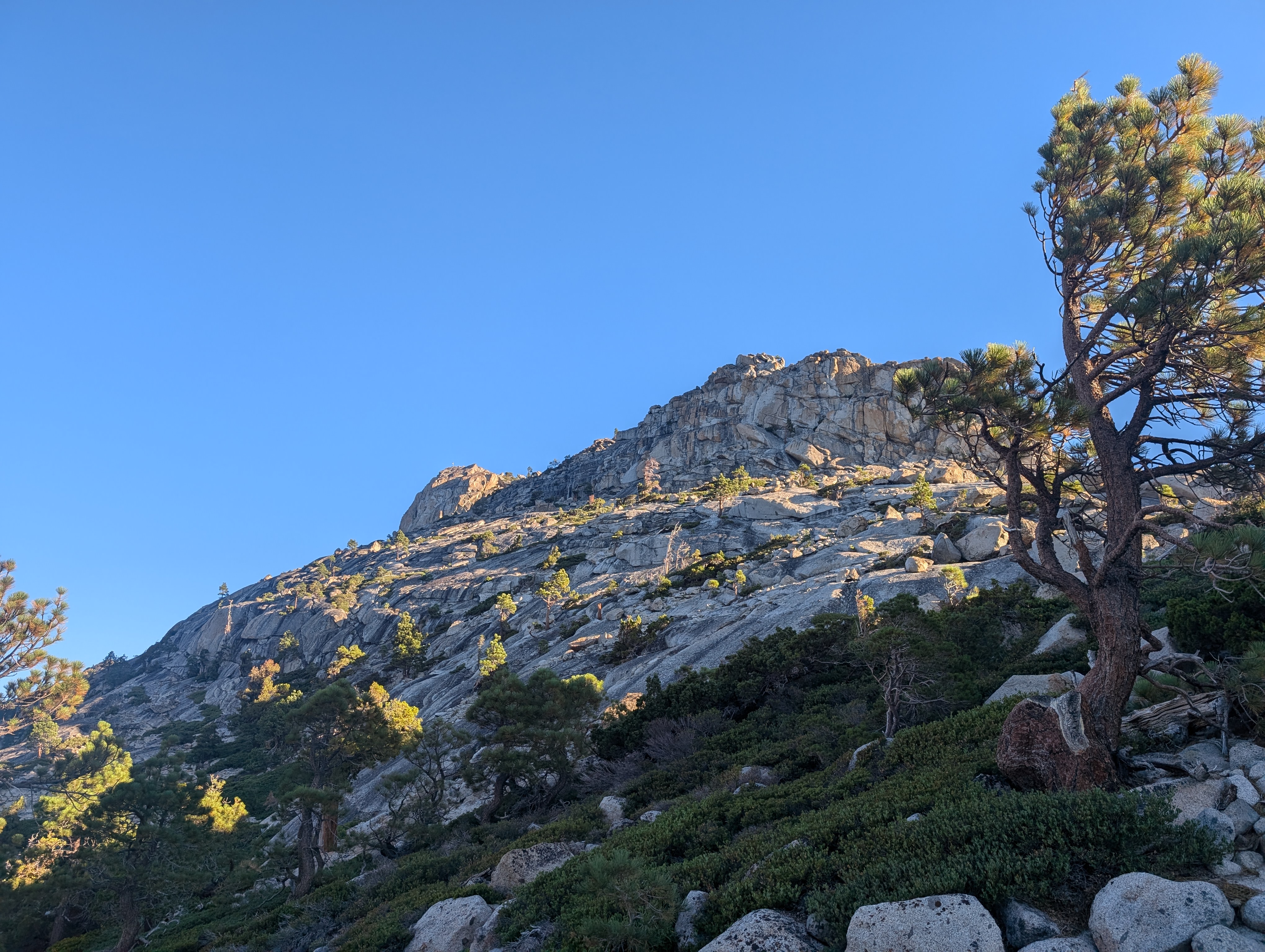 Cutting off trail towards Flagpole Peak