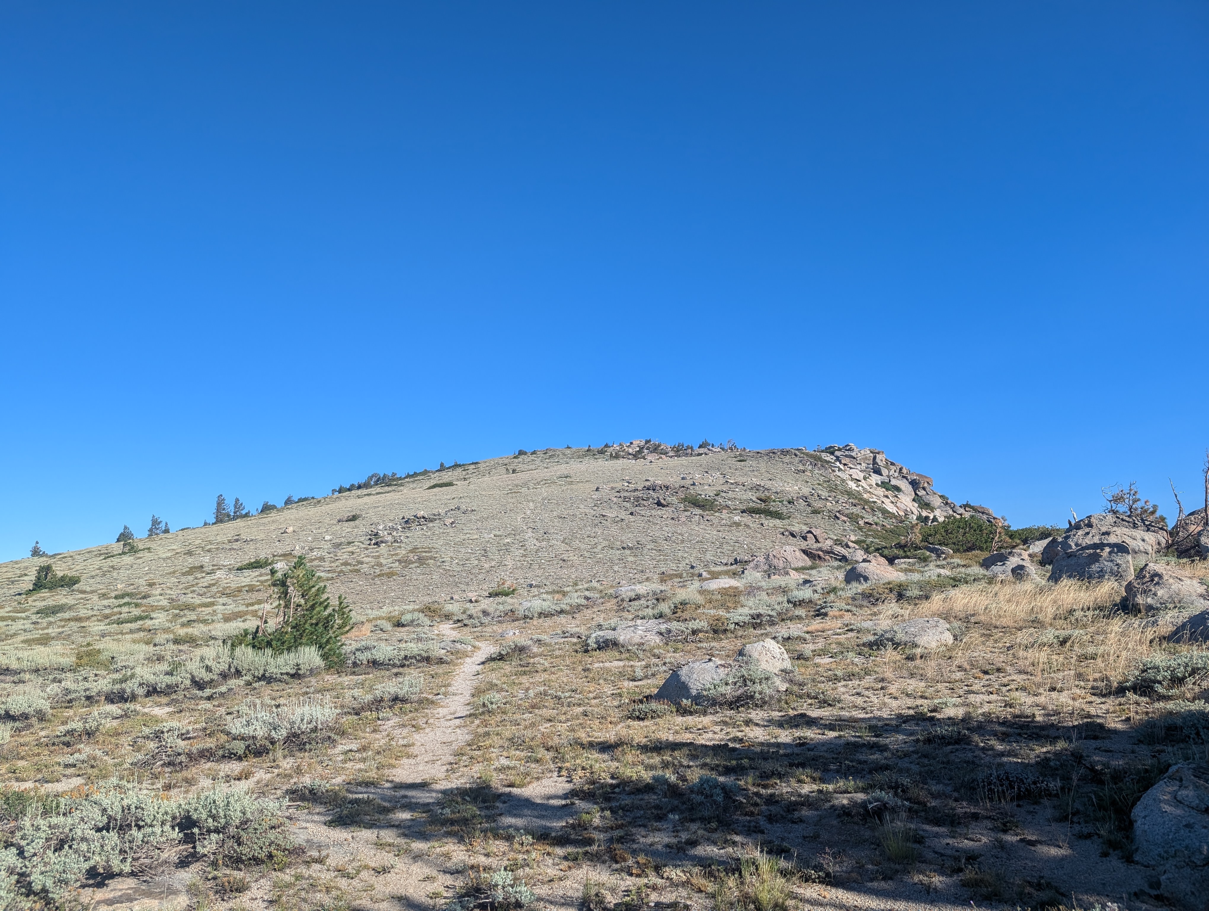 The trail leading up Echo Peak