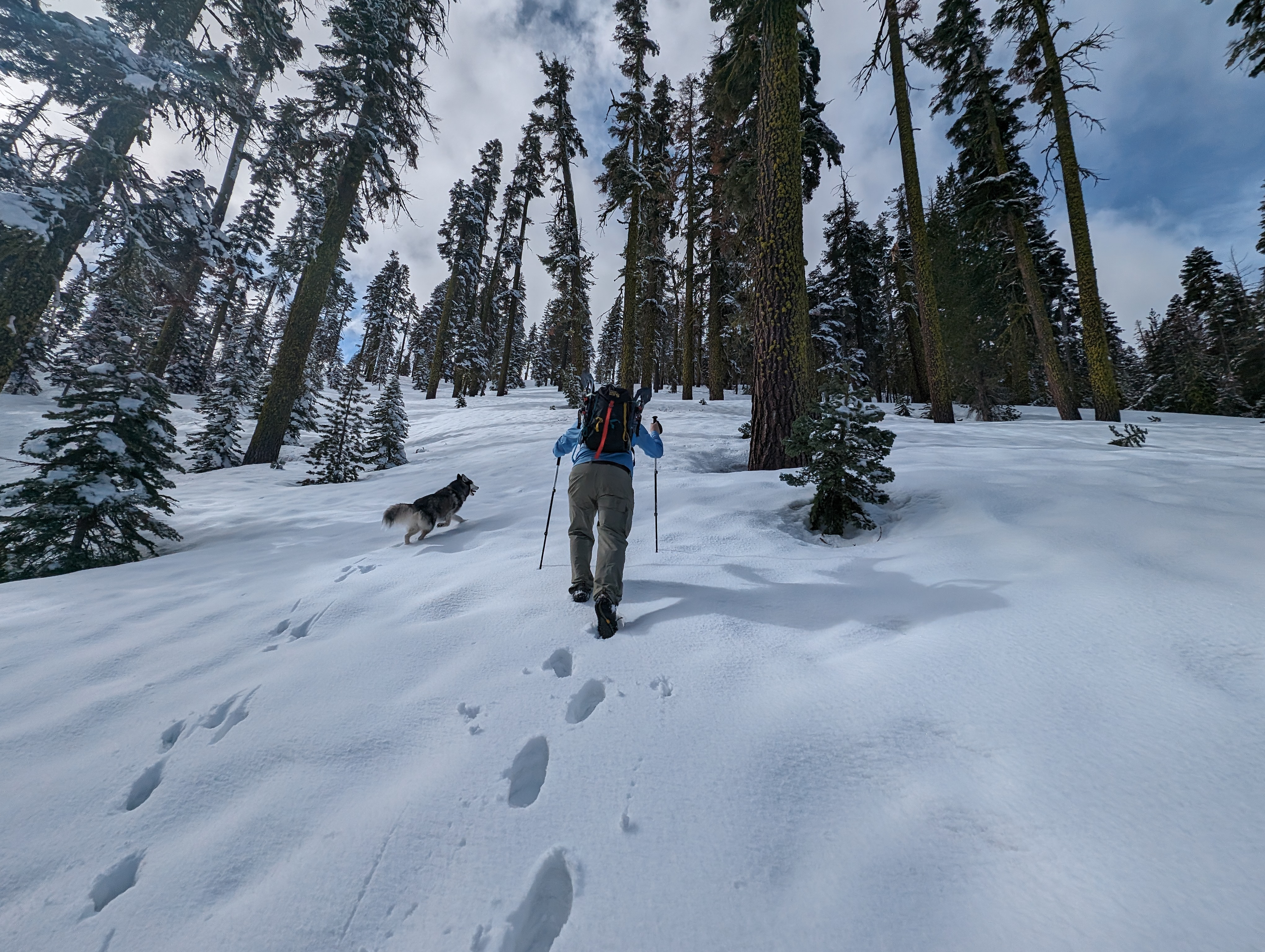 Heading up the steep canyon wall