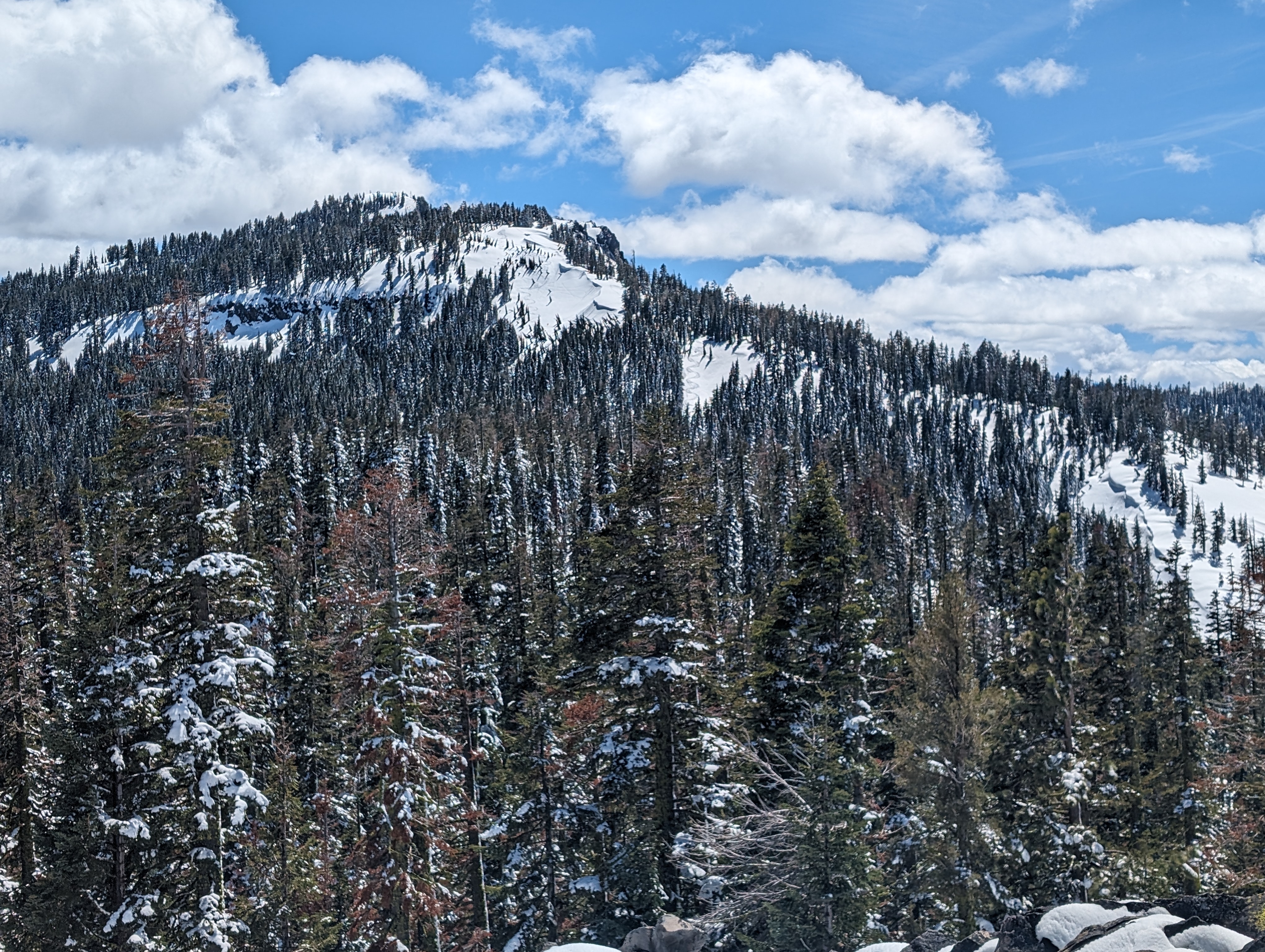 Looking back at Ellis after skiing down