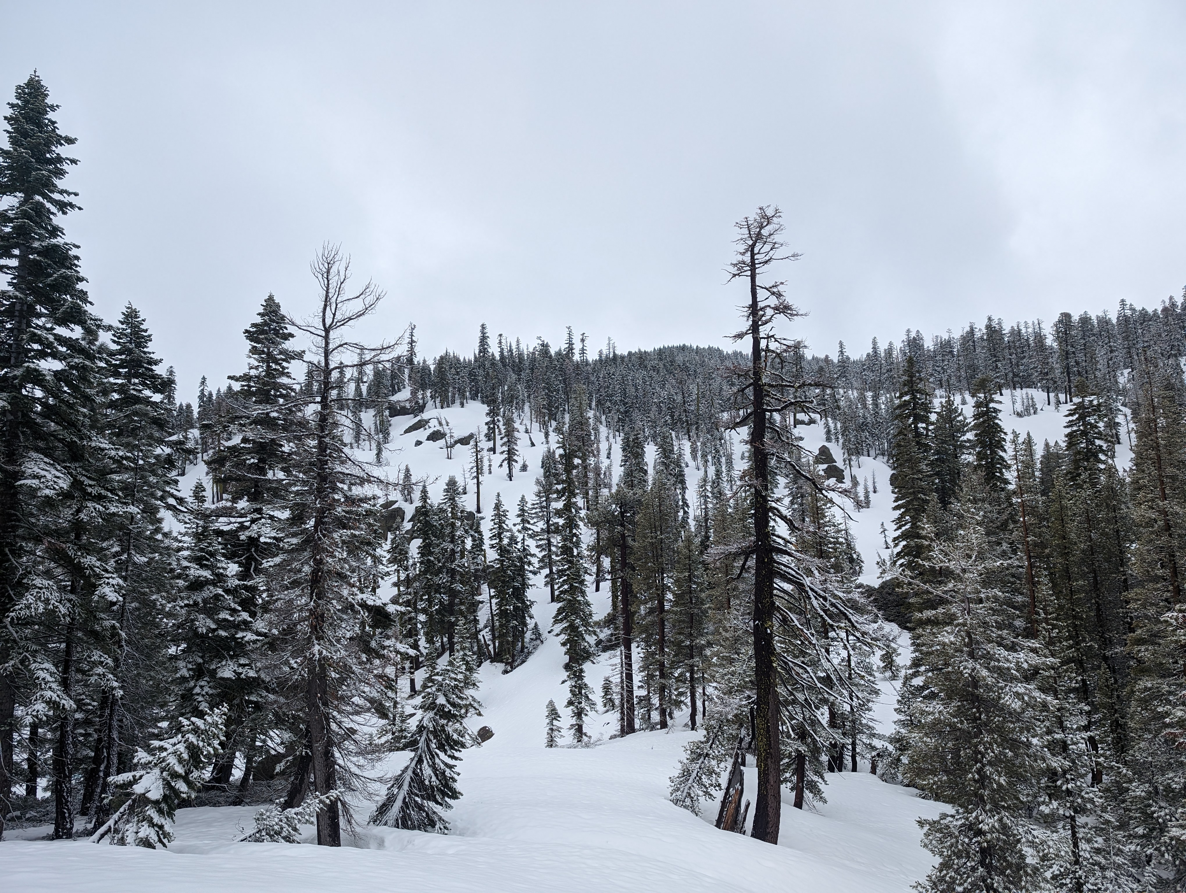 Looking up towards the peak from near Hidden Lake