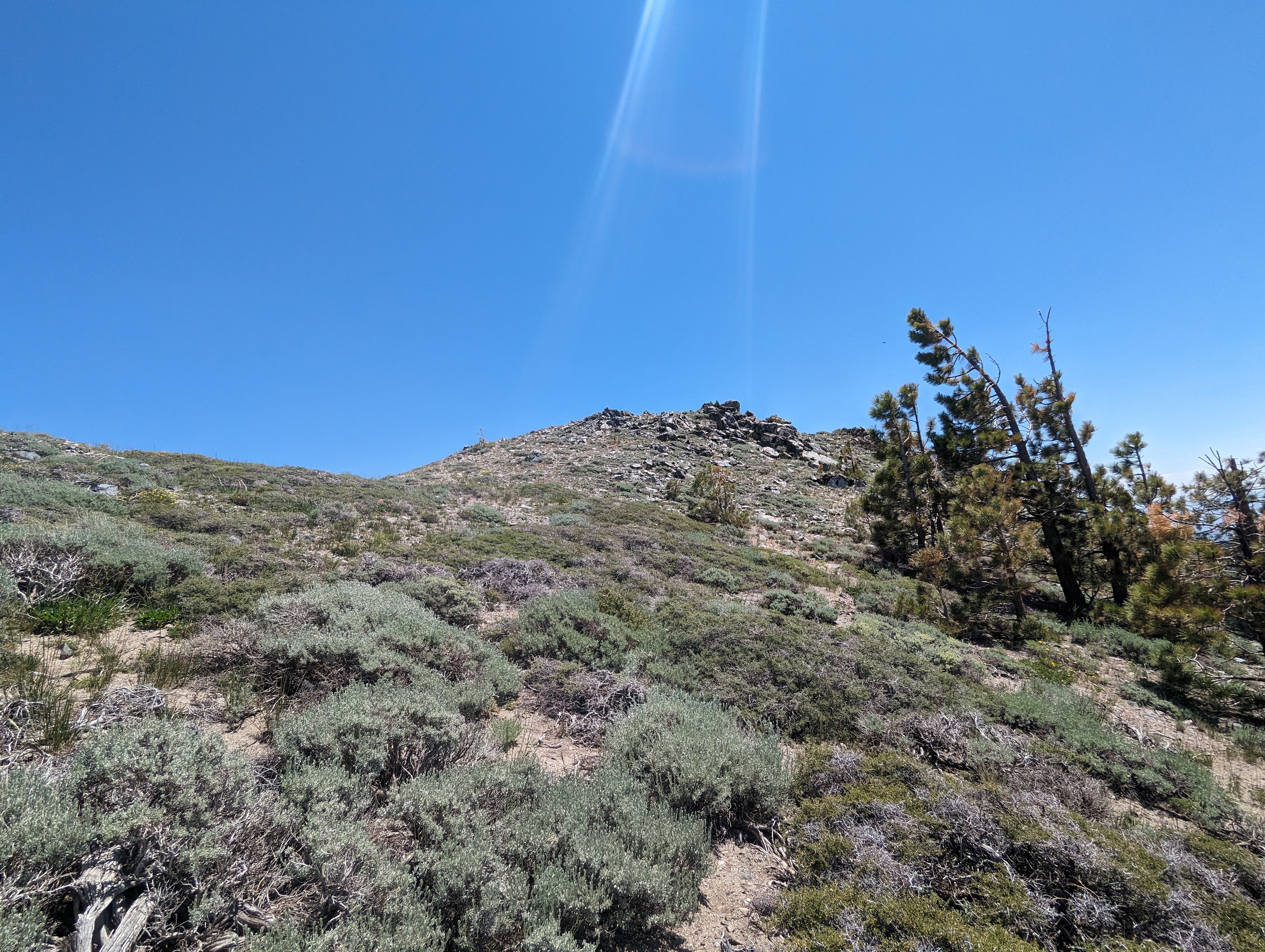 Nearing the summit of Duane Bliss Peak