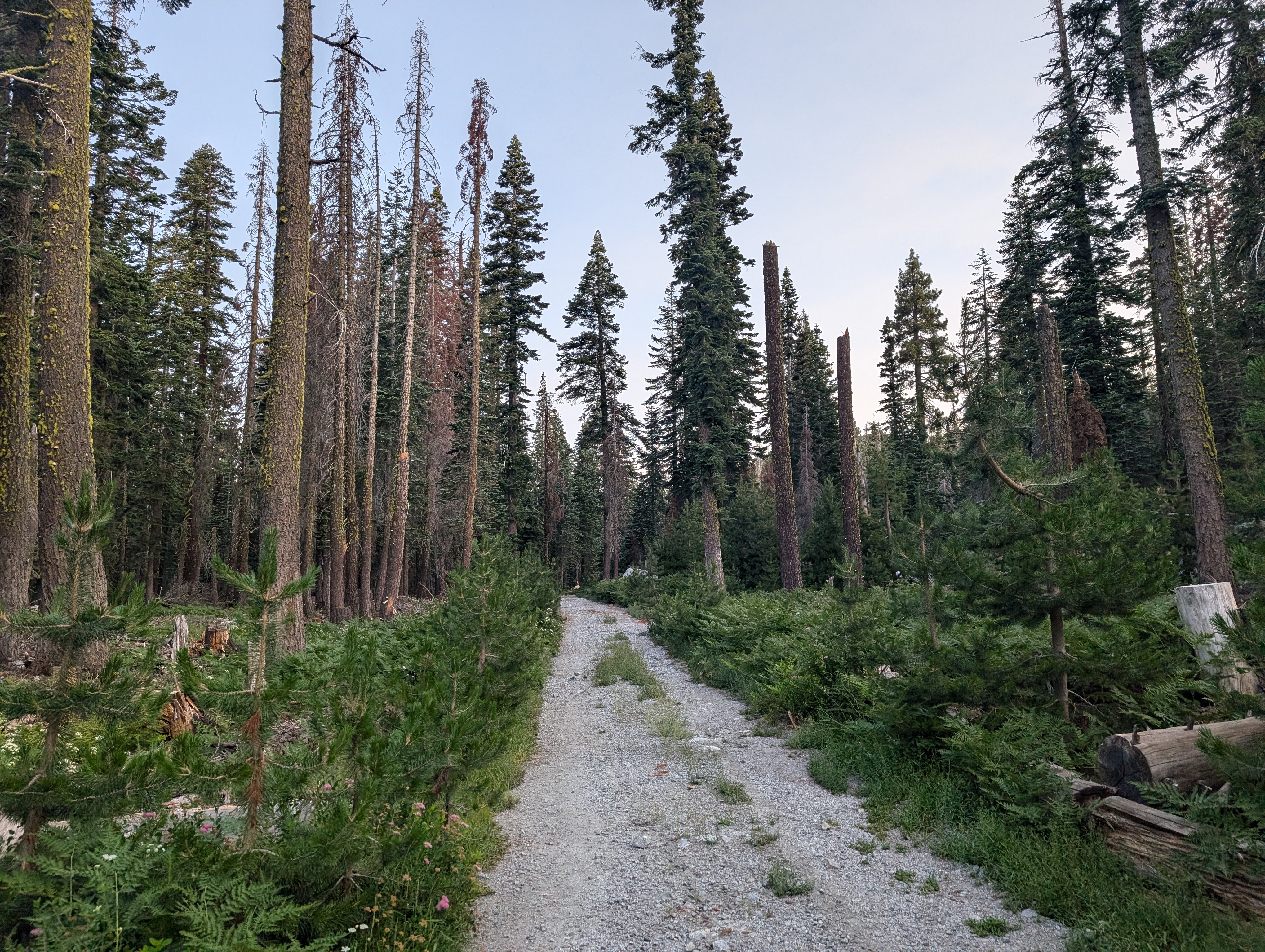 The road towards Guide Peak