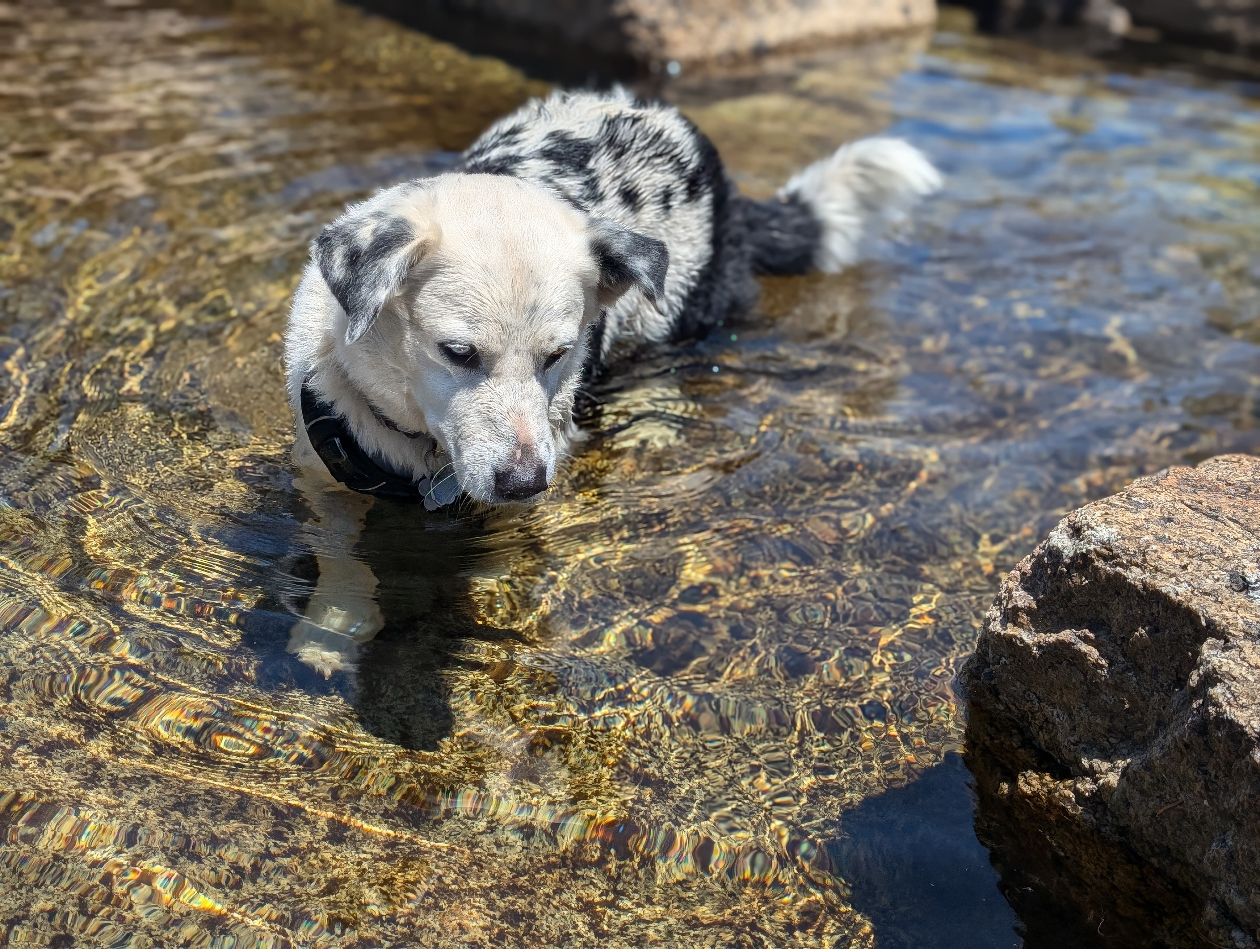 George enjoying the water