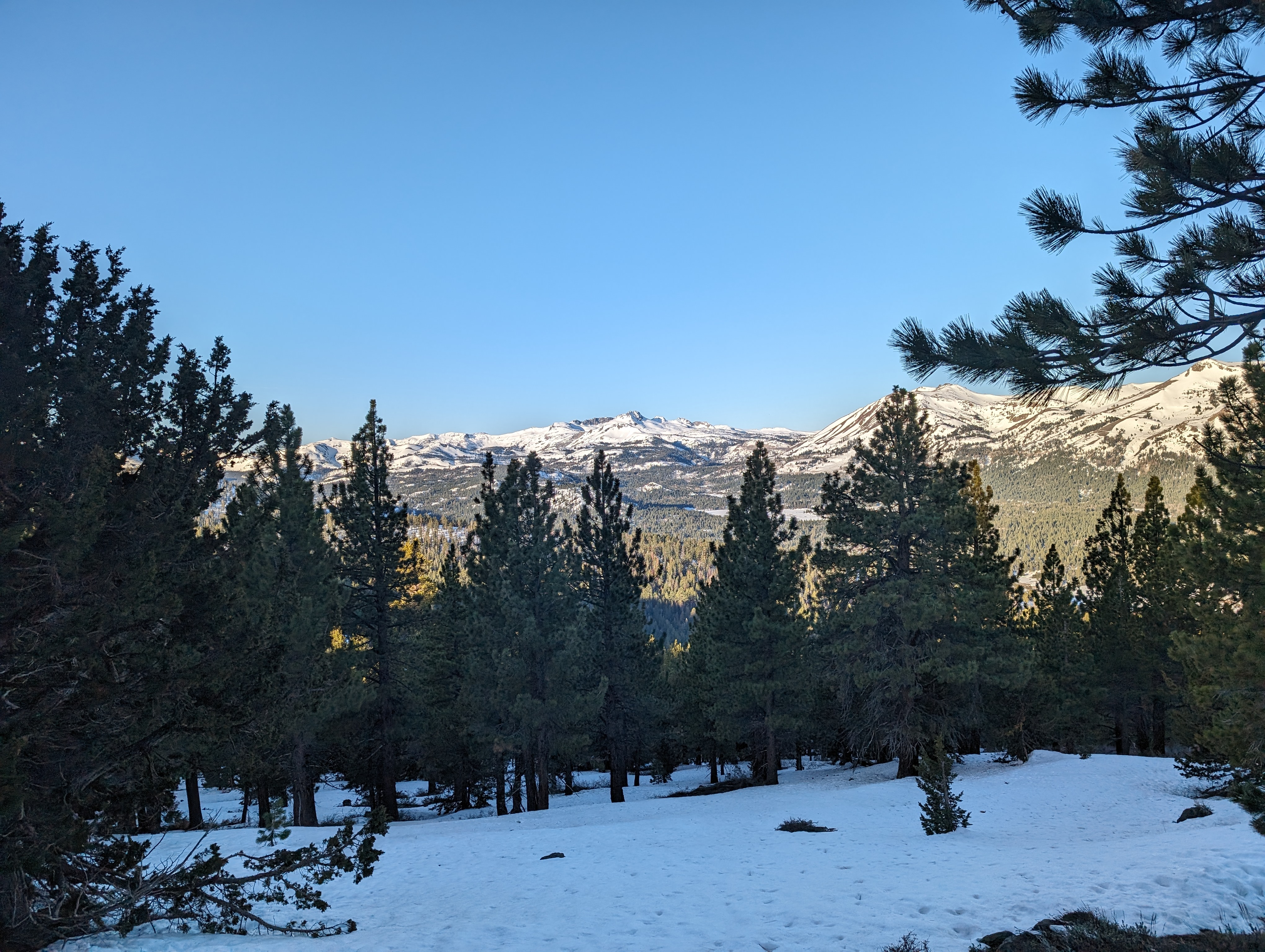 View to the west from my way up to the ridge