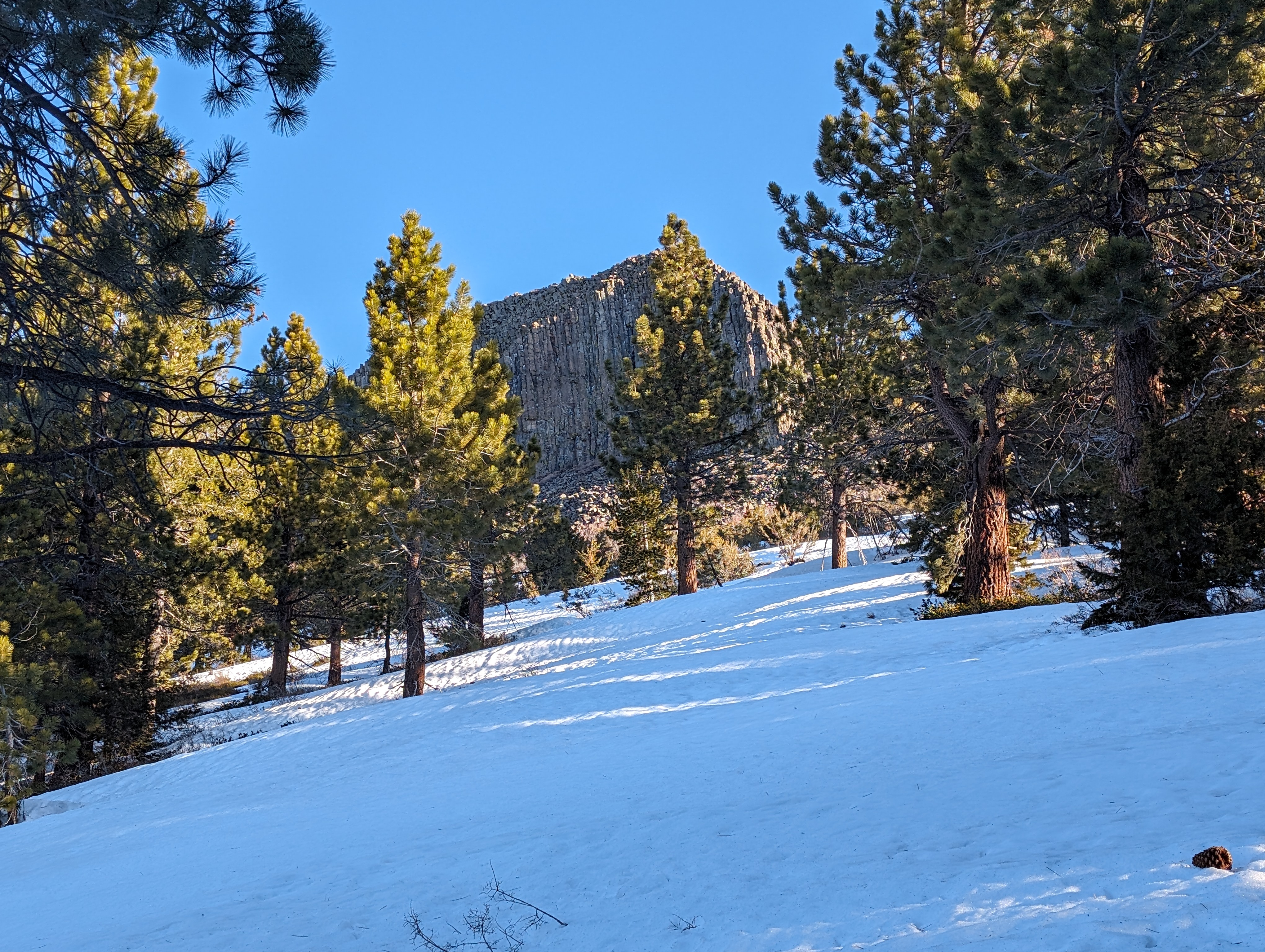 Pickett Peak in the morning light