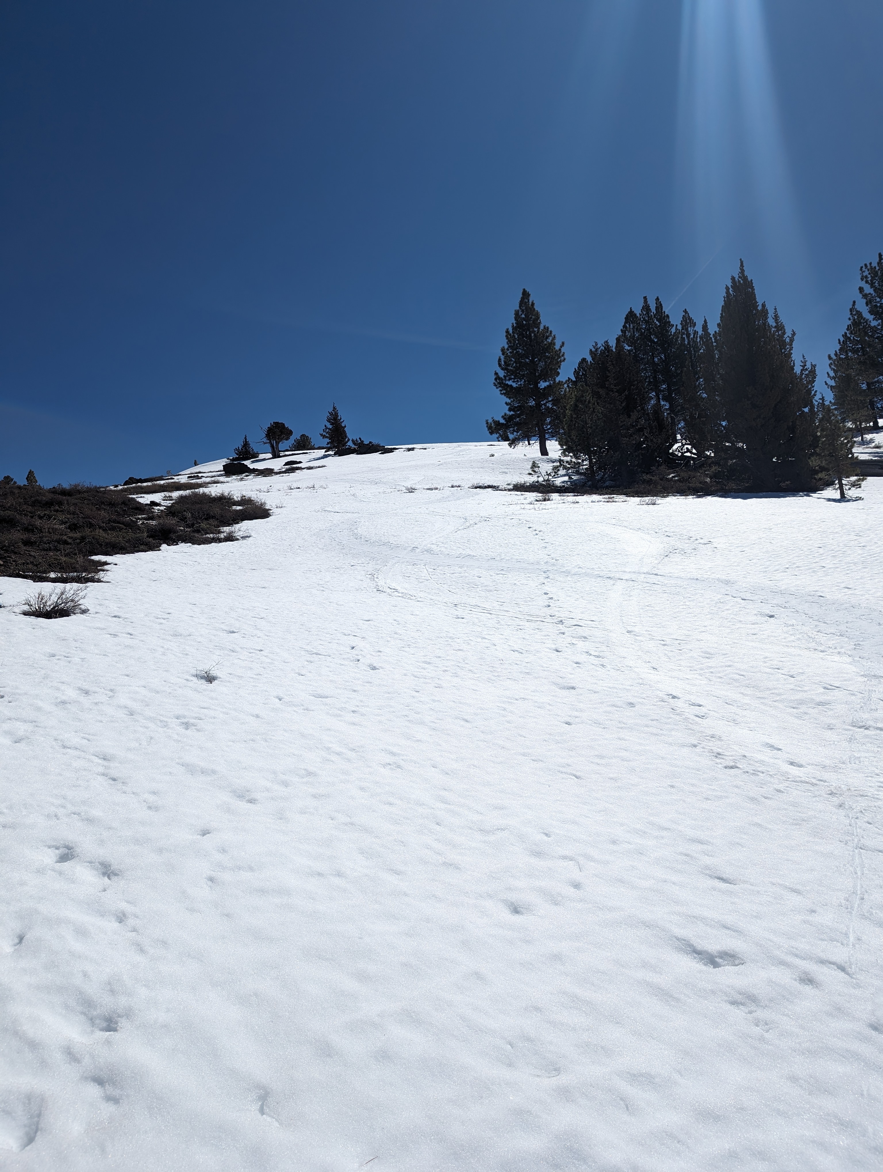 Skiing down along some other recent tracks