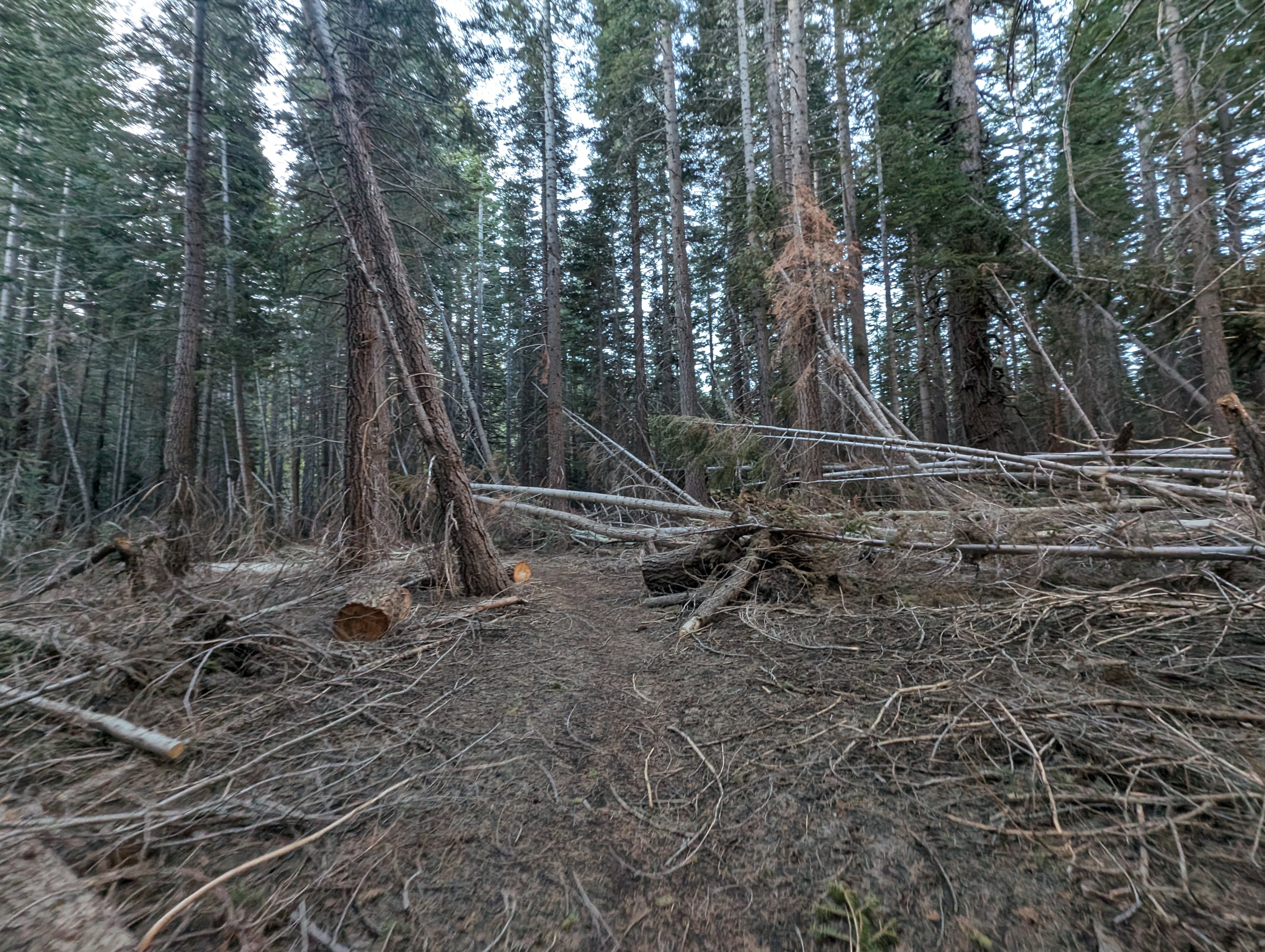 This same spot was filled with snow last July