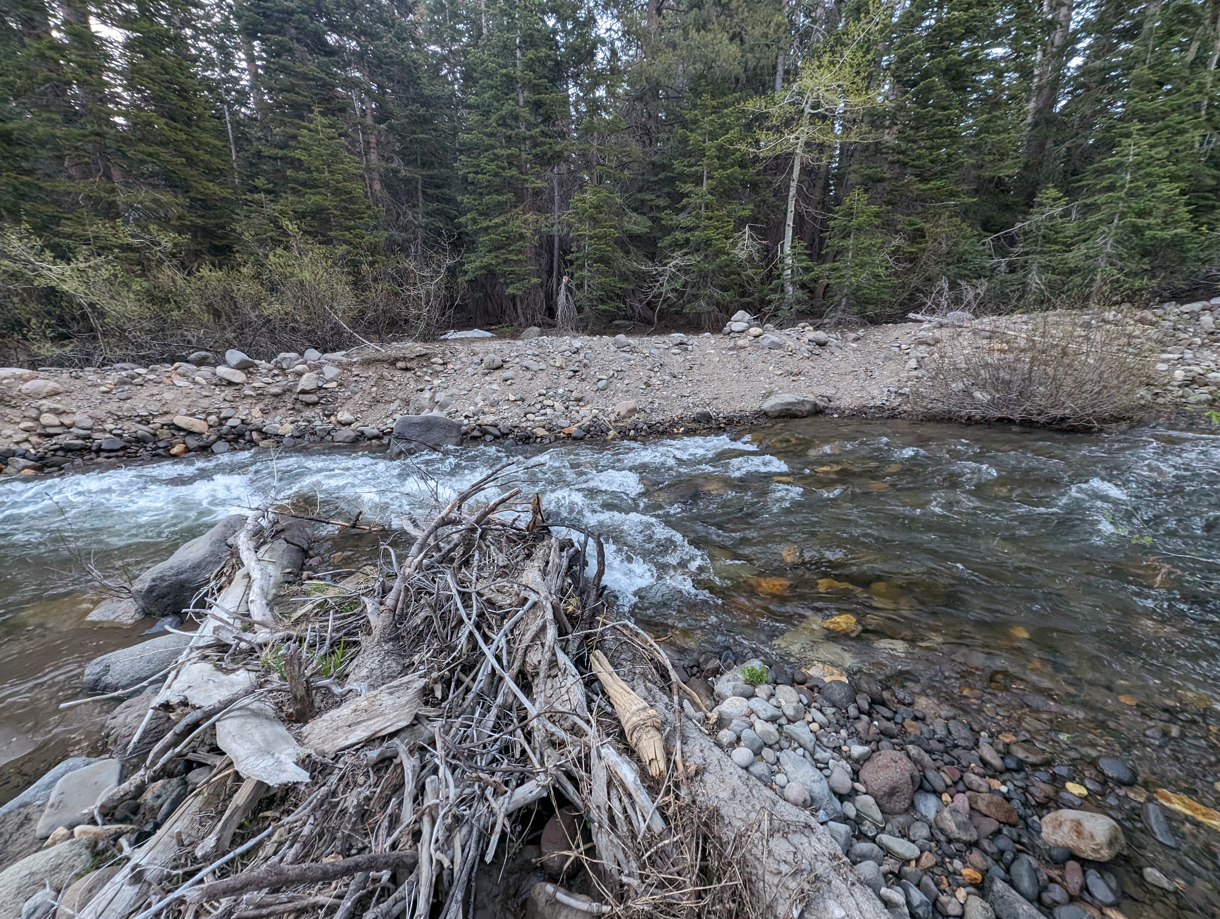 Creek crossing spot