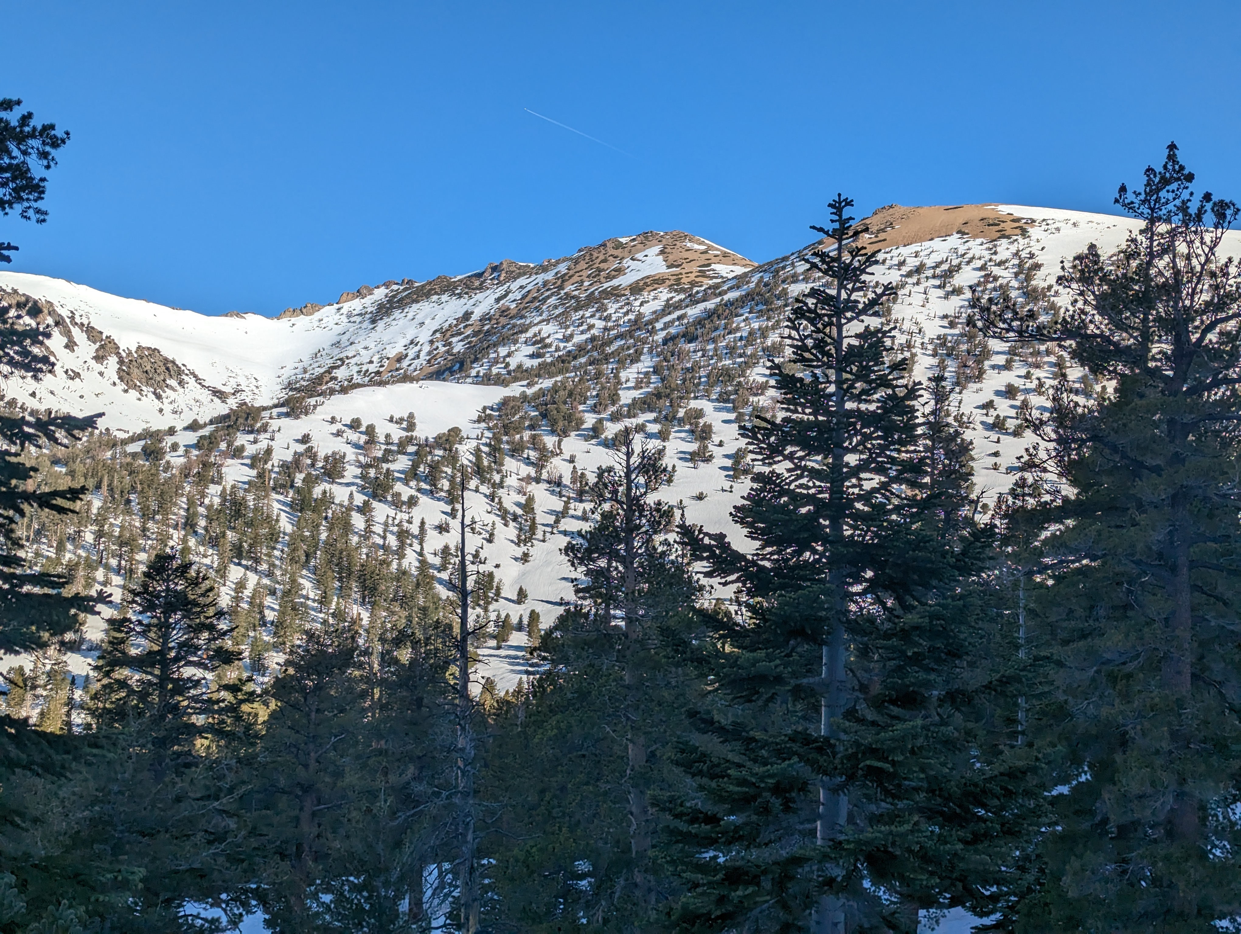 Looking up towards Freel Peak, El Dorado County&rsquo;s highpoint