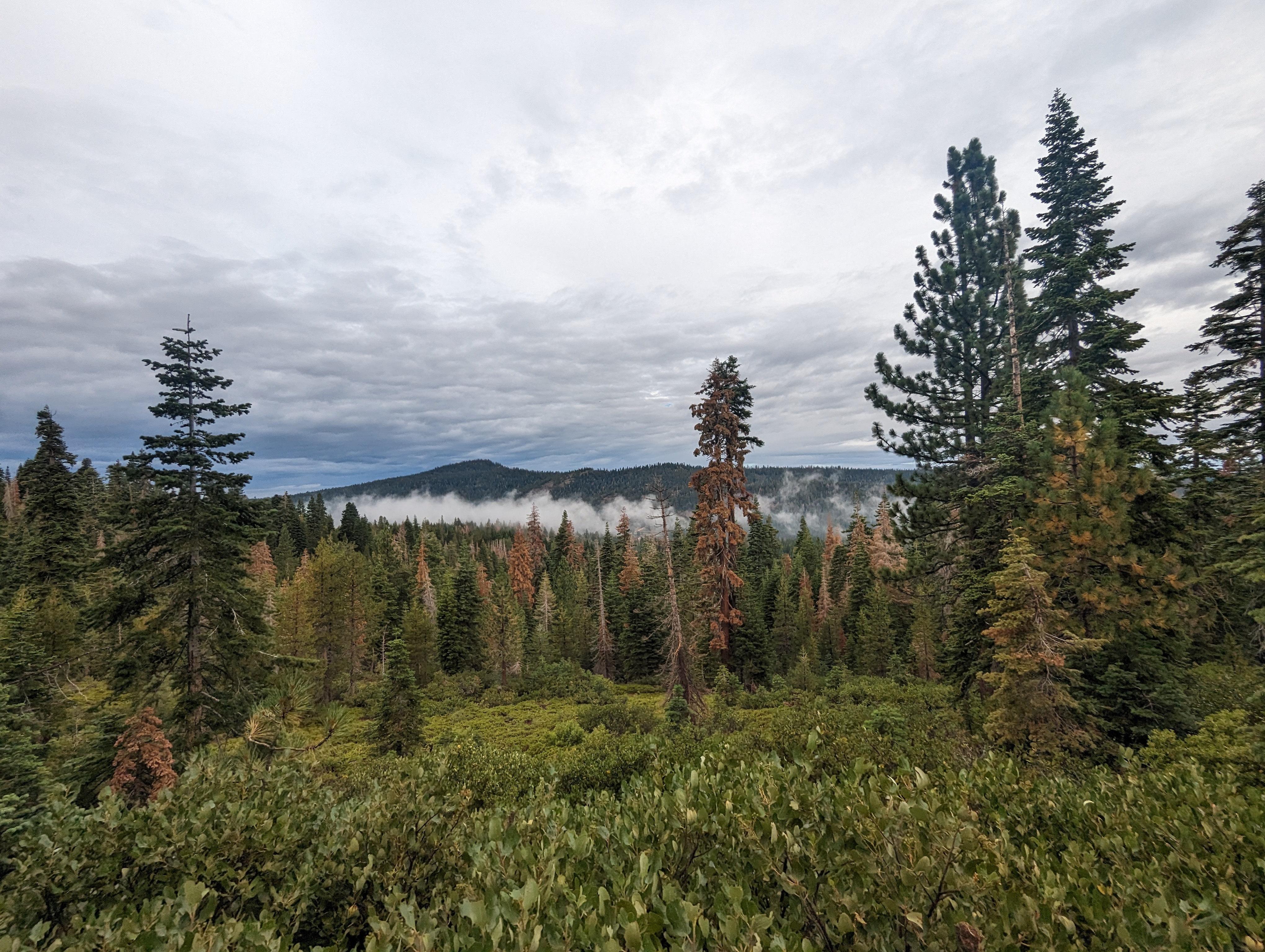 A gloomy morning for August