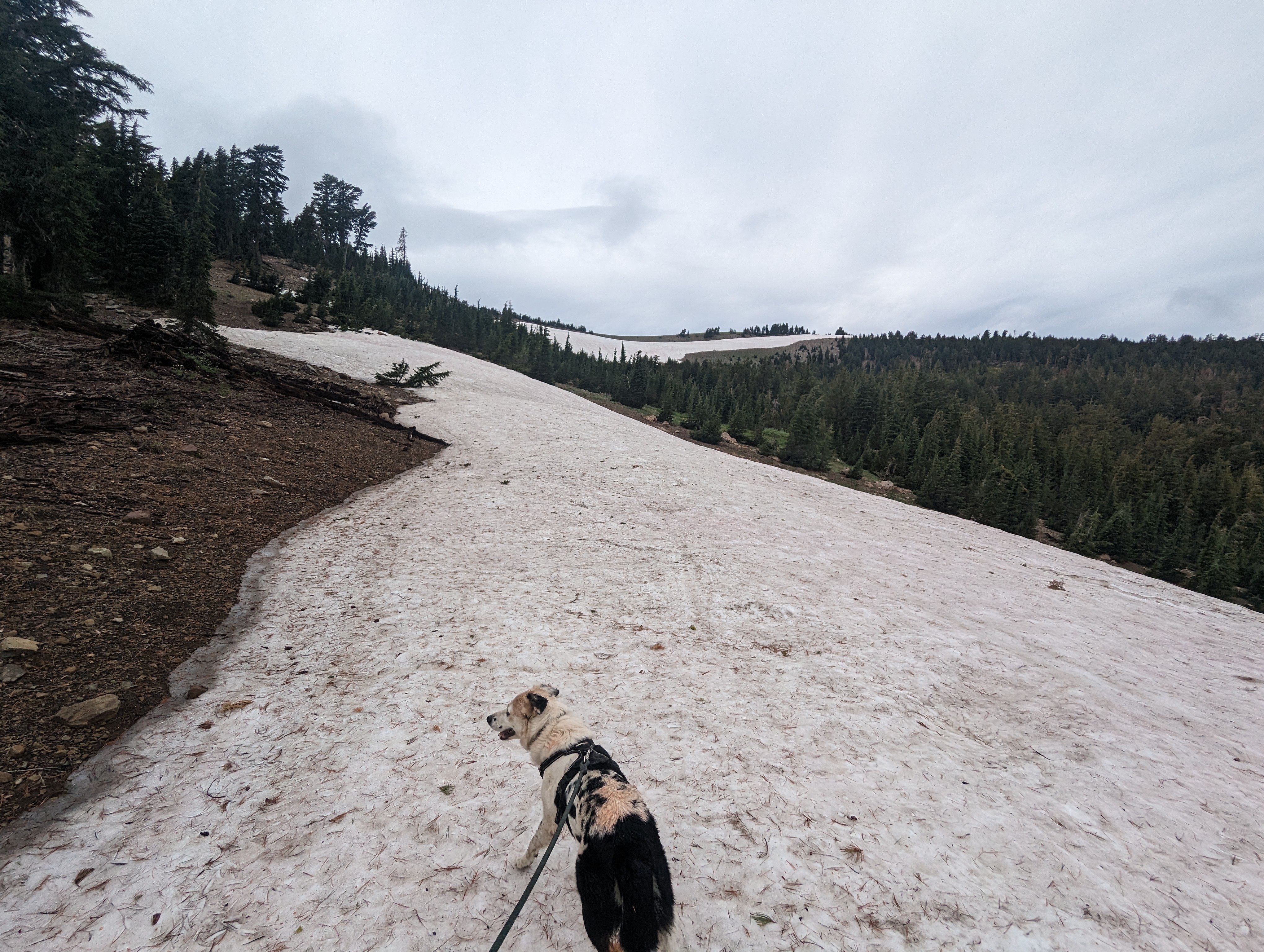 Snow drift on the ridge