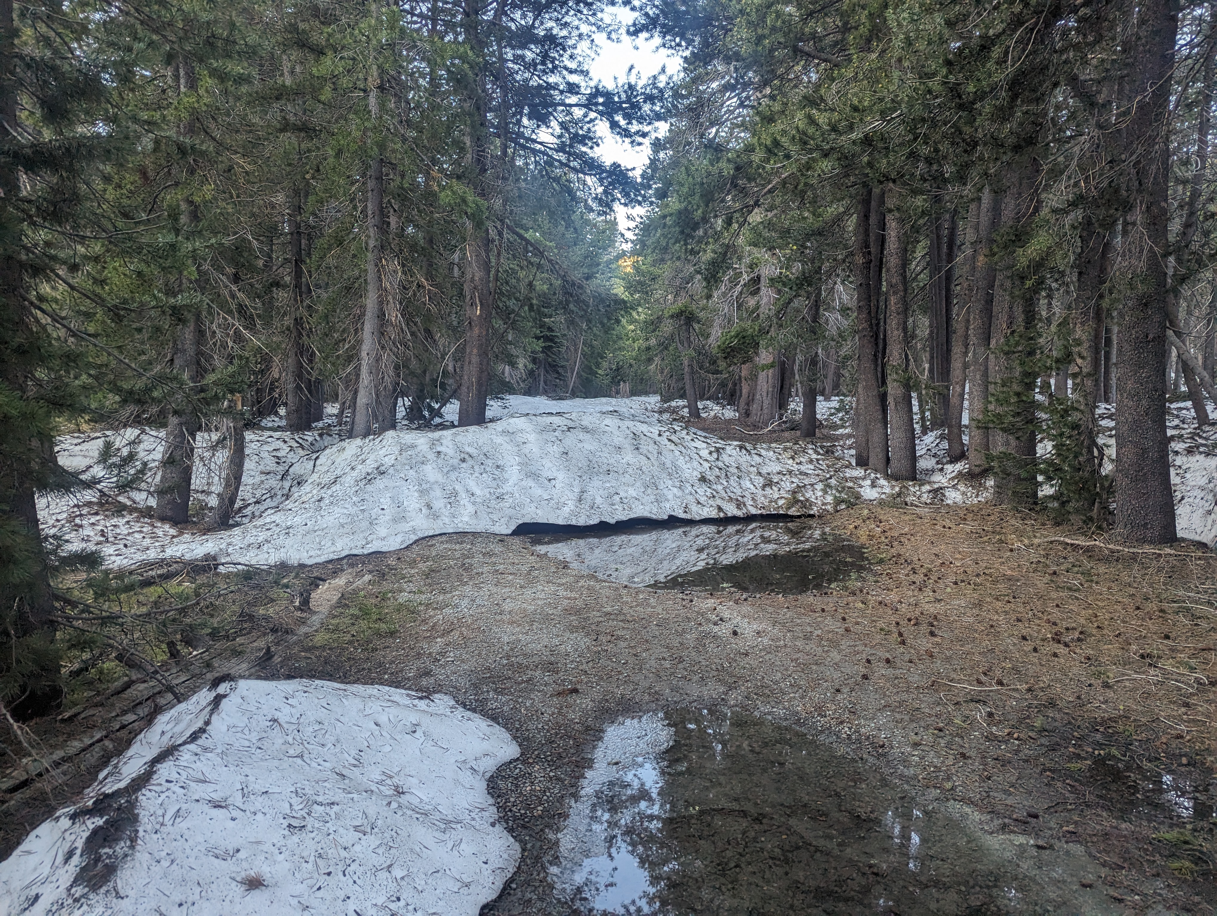 Snow conditions near the start