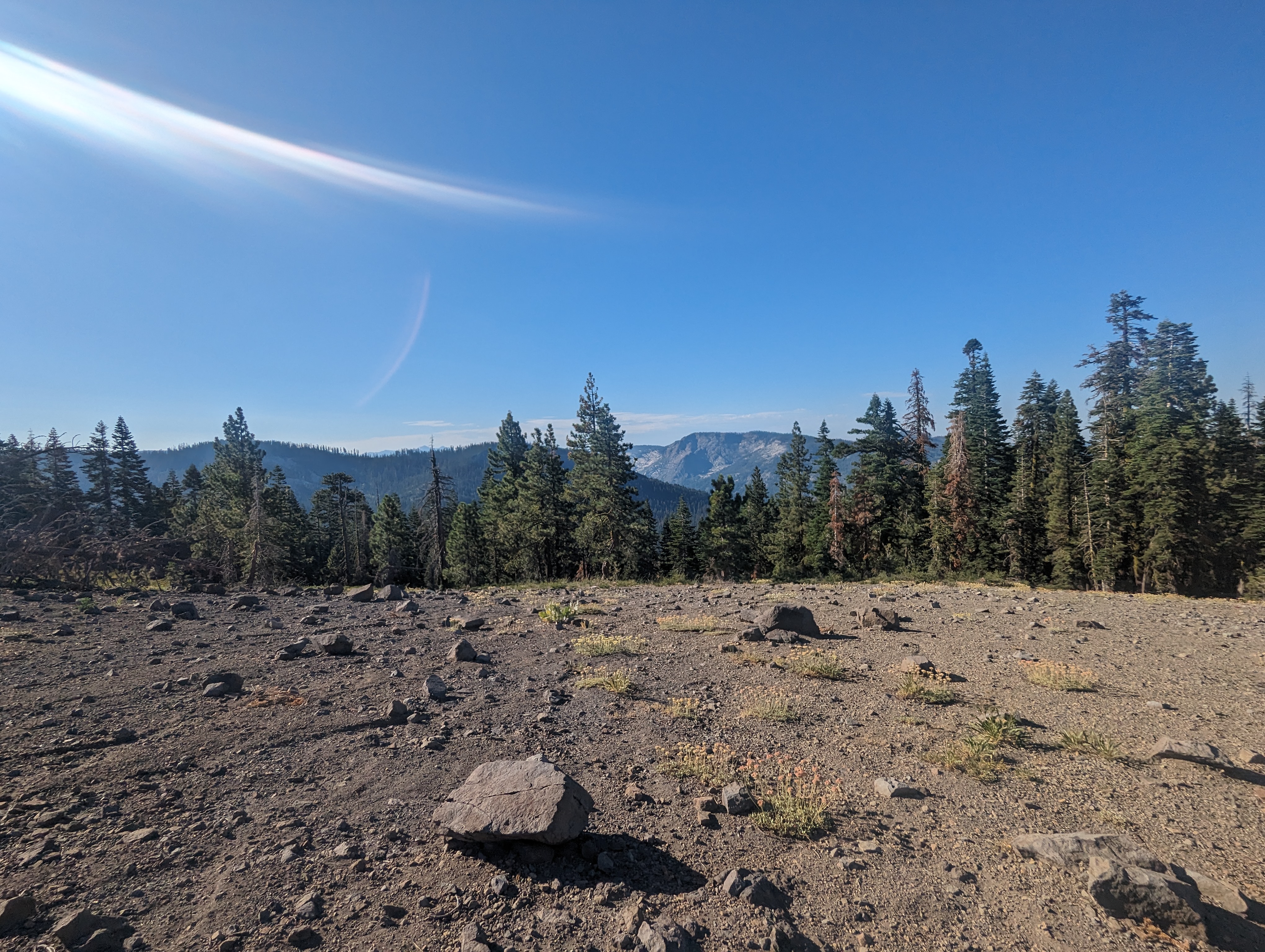 Looking towards McKinstry Peak from where we gained the ridge