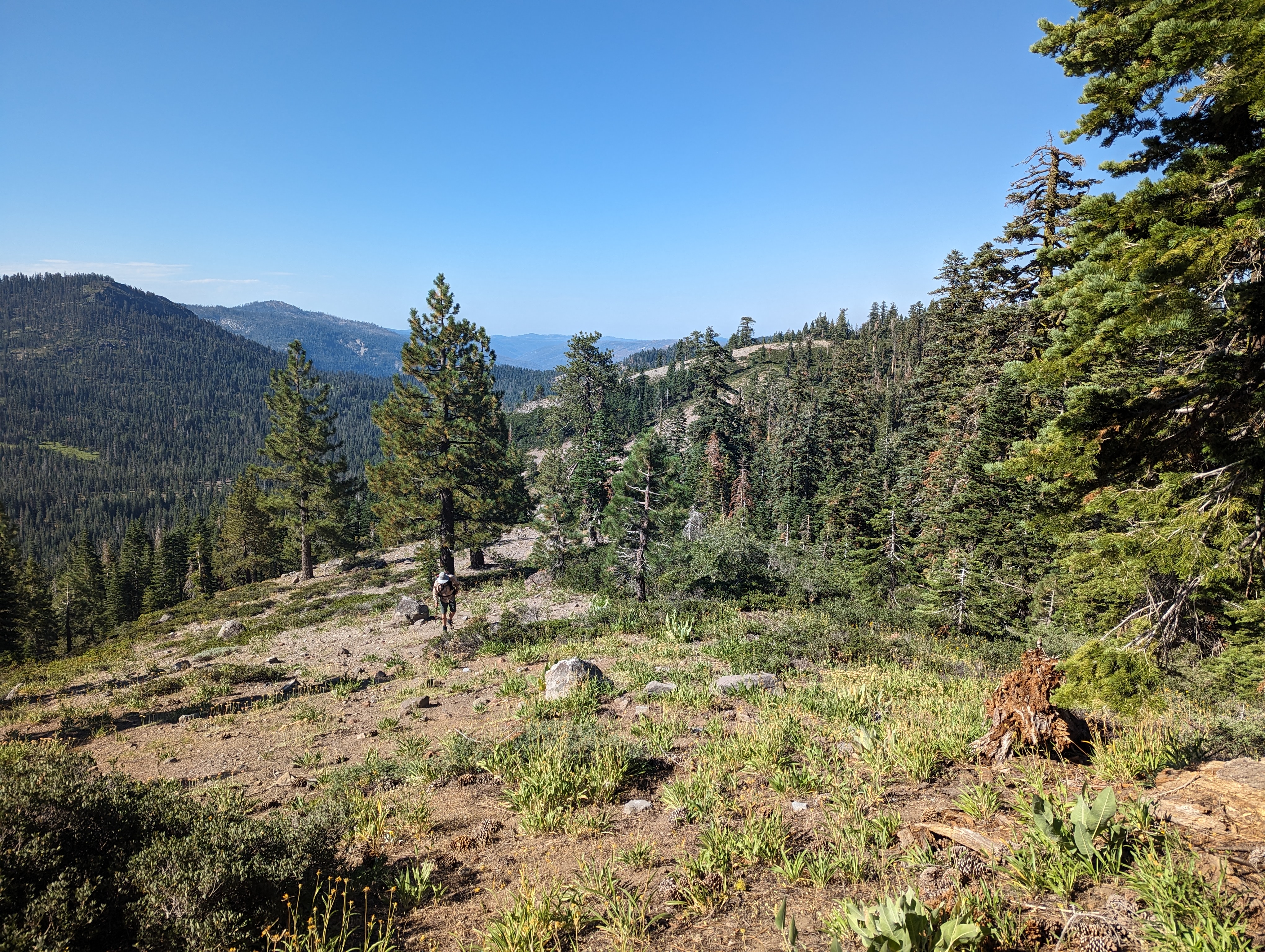 Typical walking conditions on Chipmunk Ridge