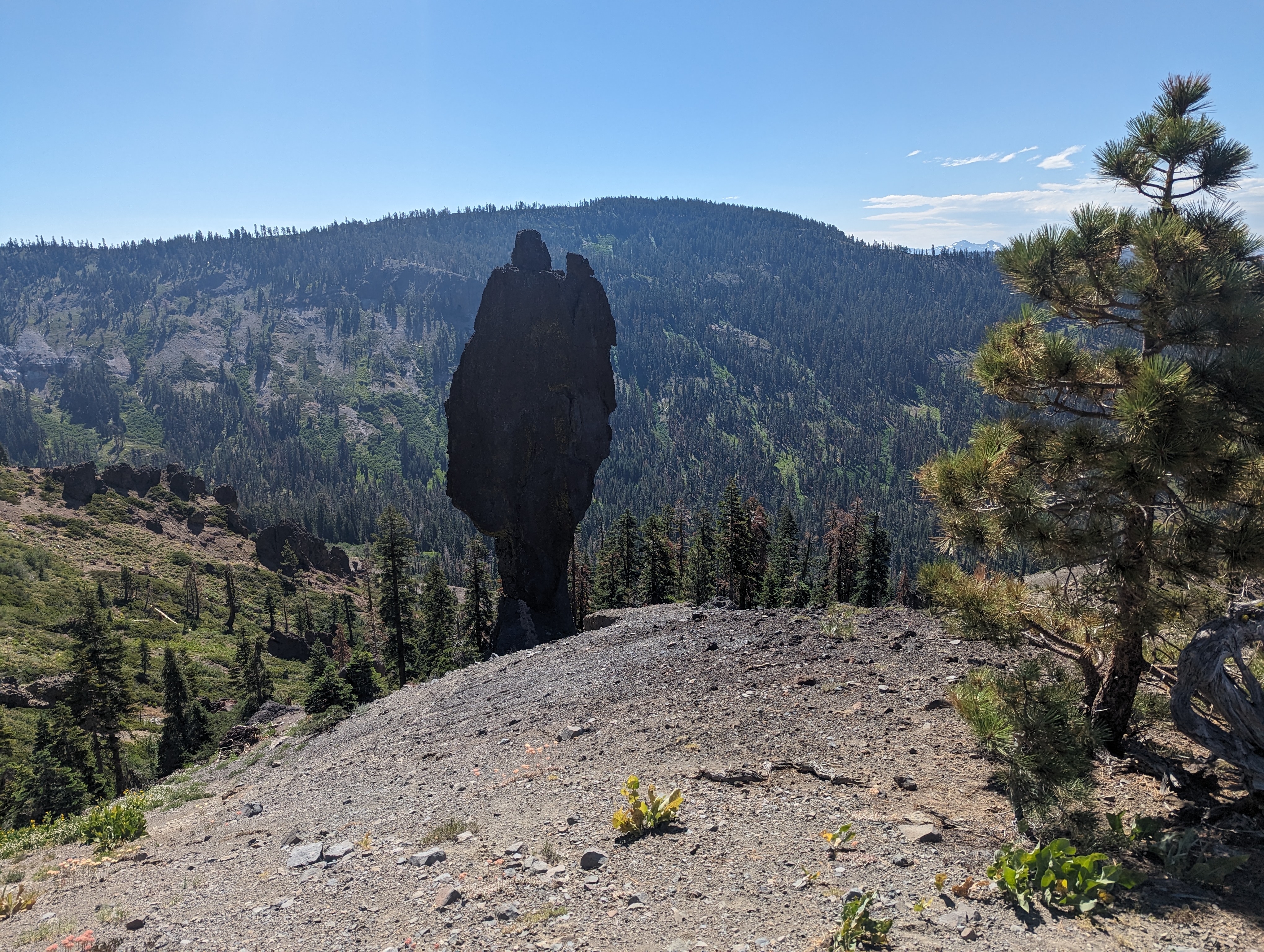 The Johnson Monument