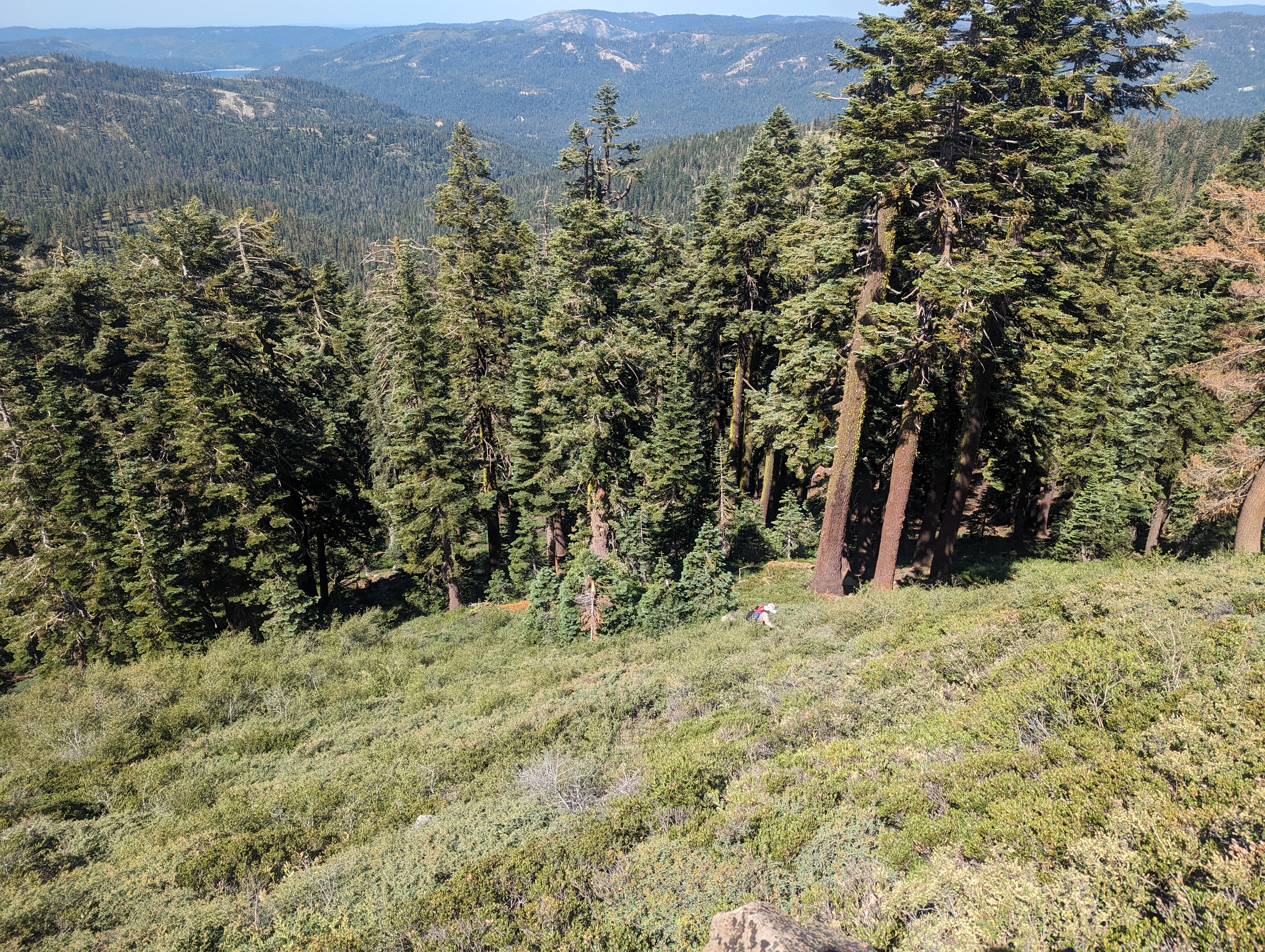 My dad making his way up the hellish bushwhack