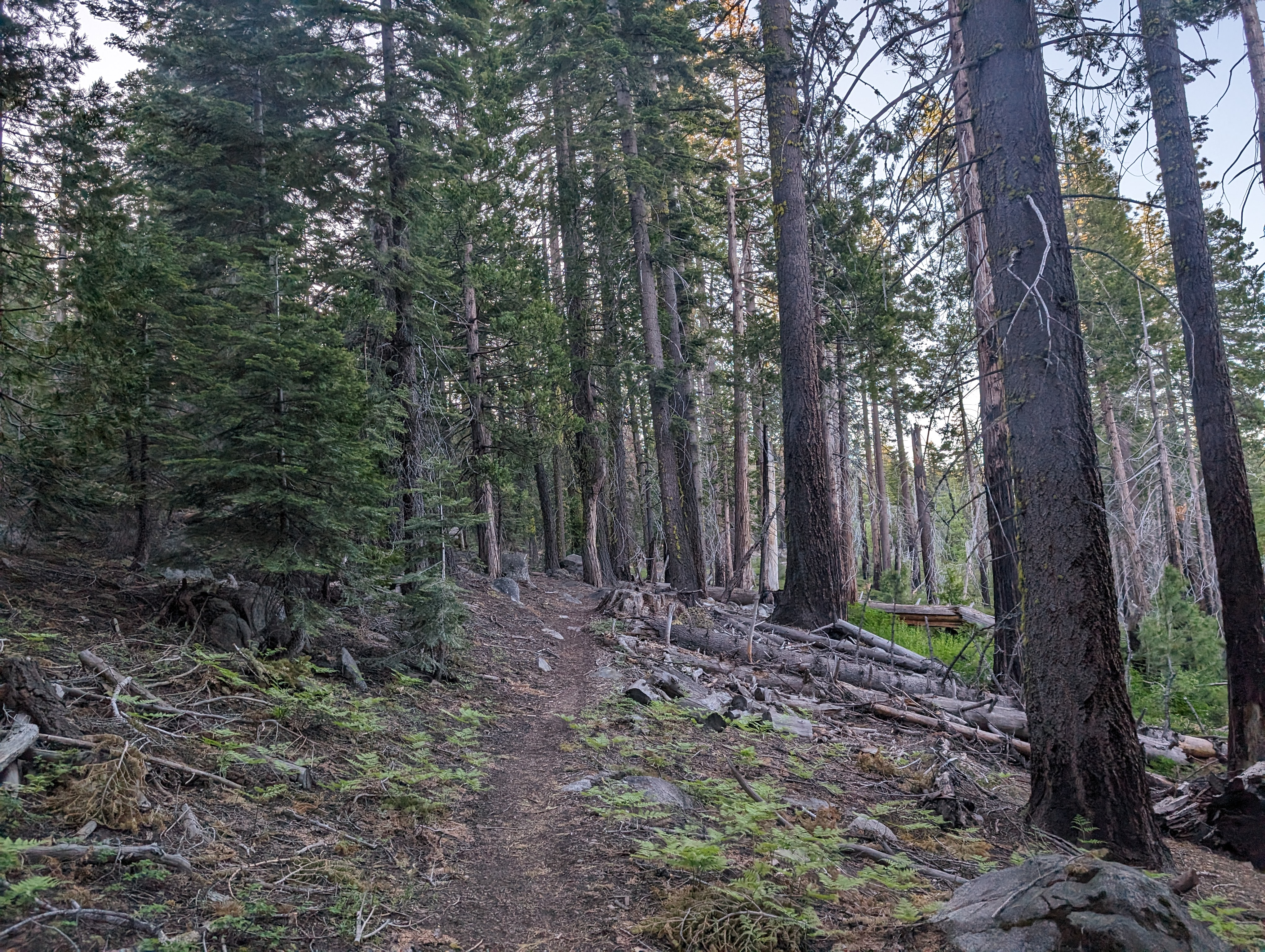 Getting started up the trail