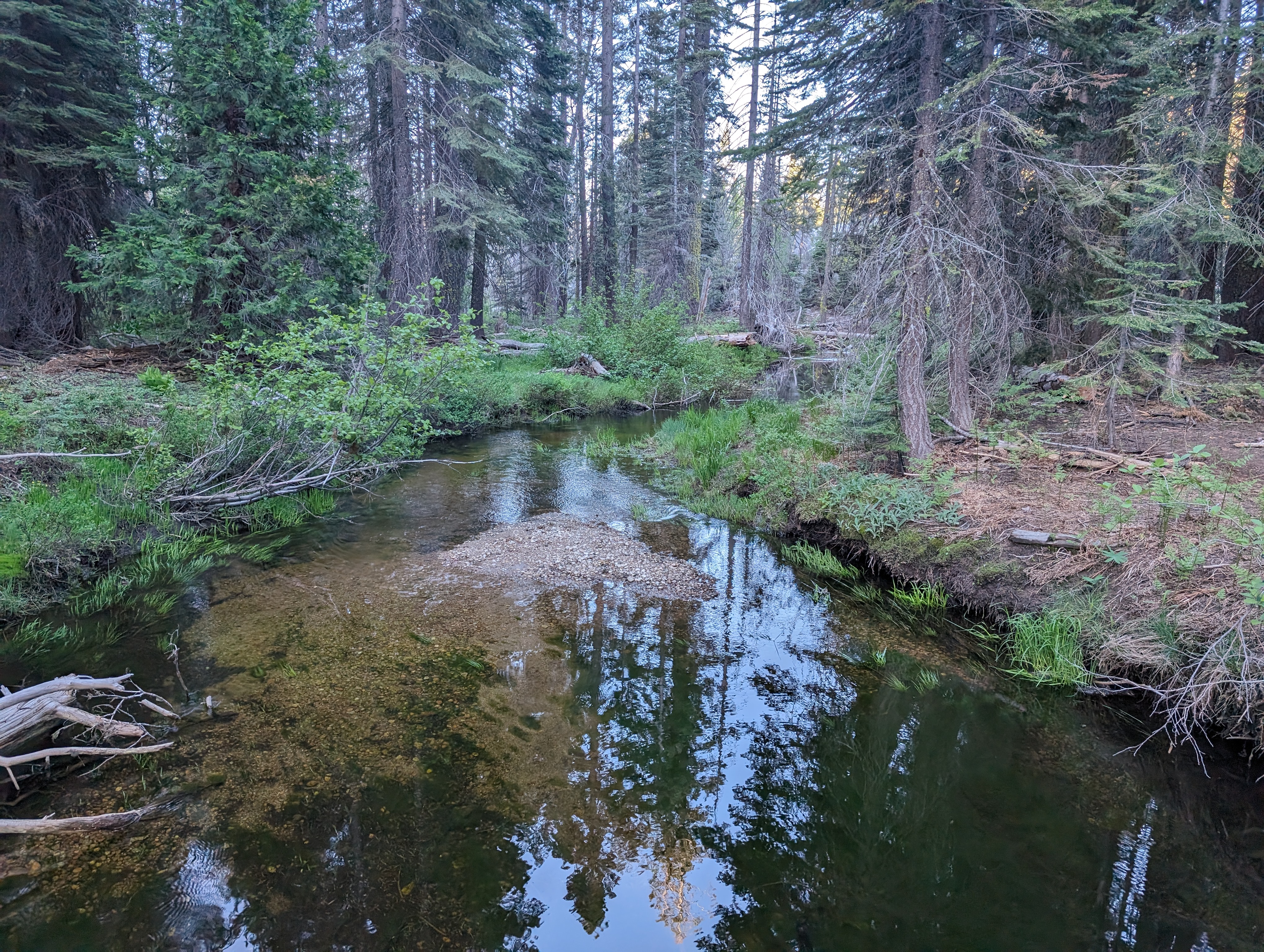 Crossing the creek