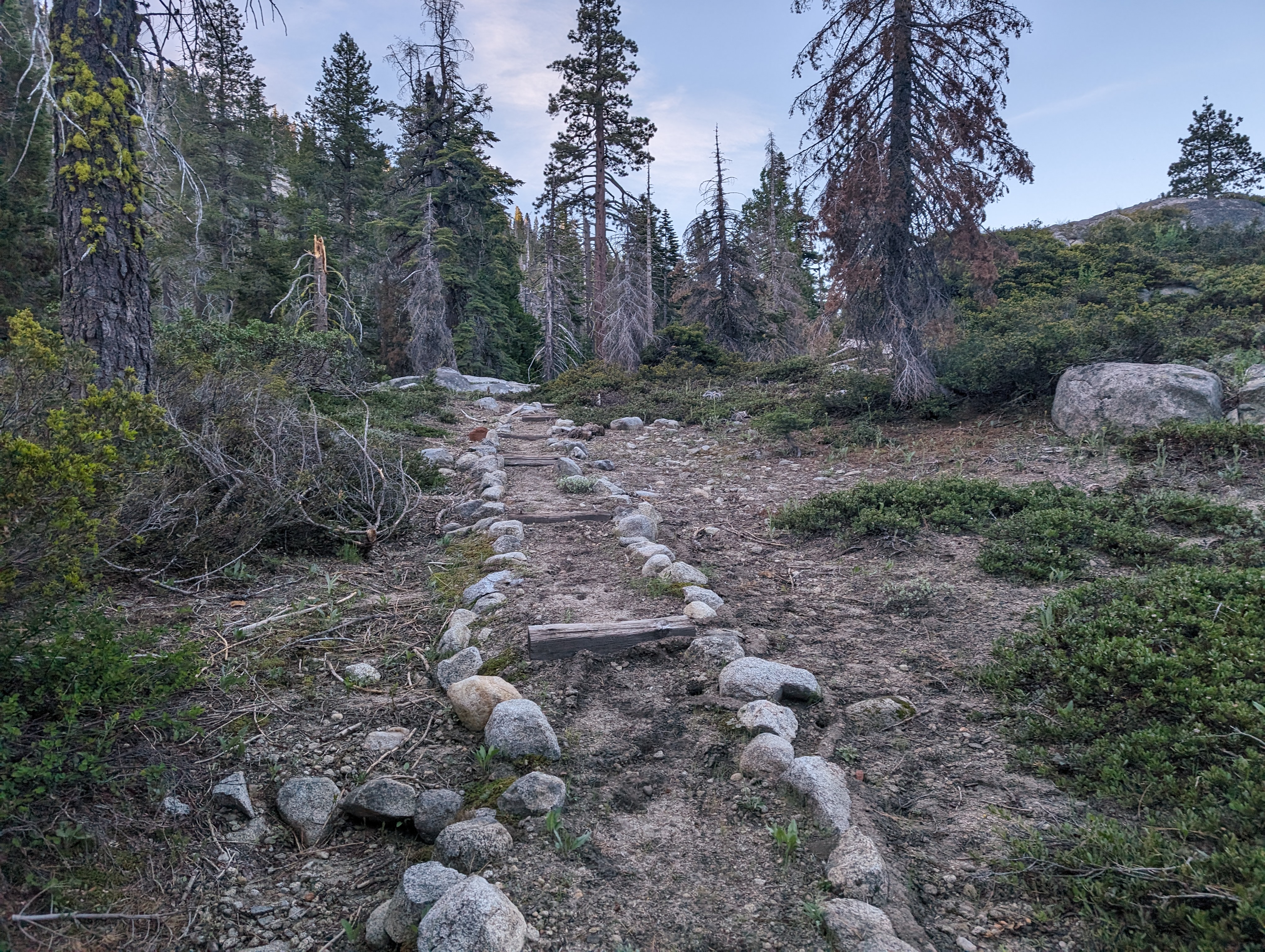 A brief moment of nicely maintained trail