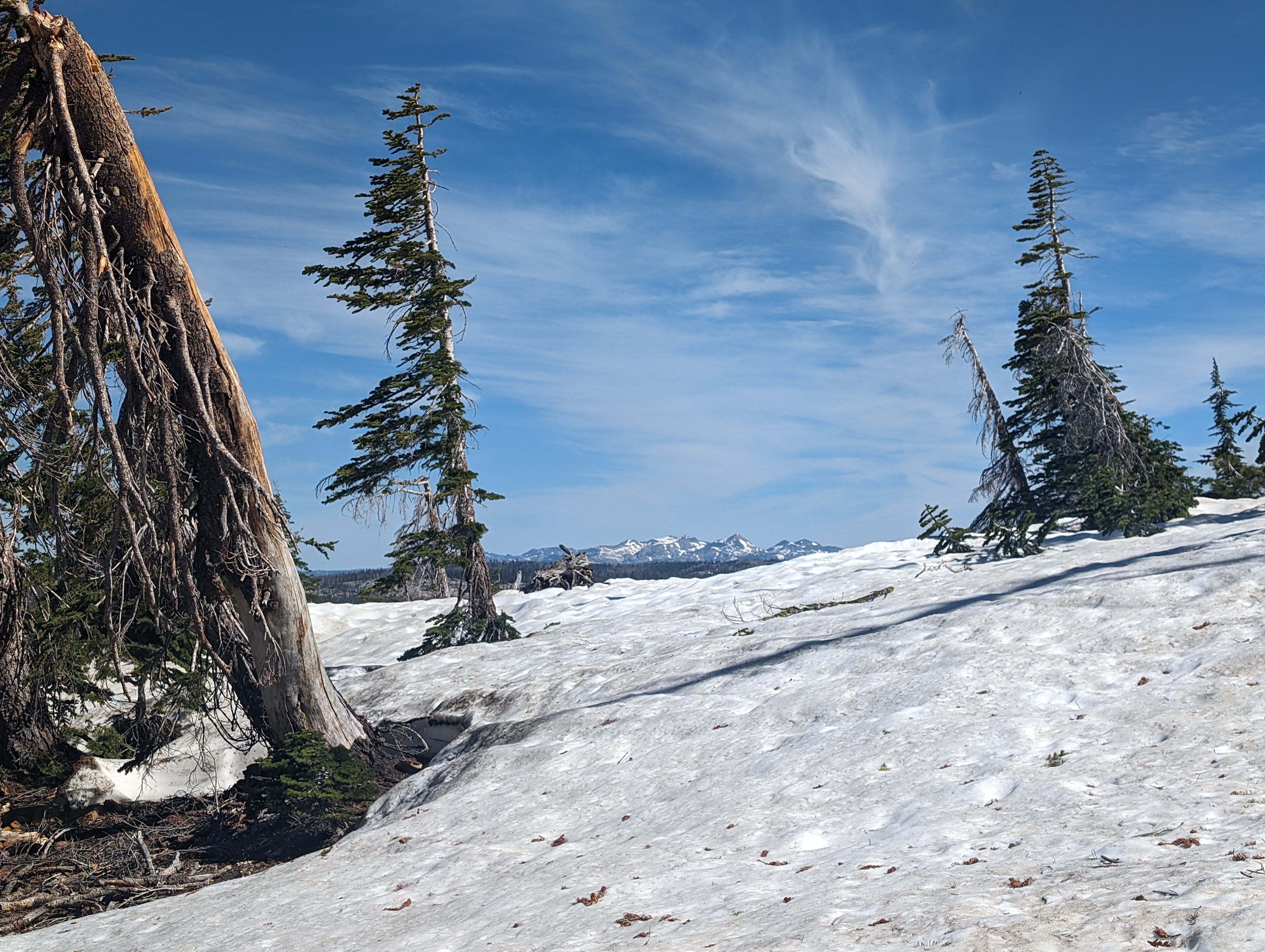 A nice view of the Crystal Range in the distance