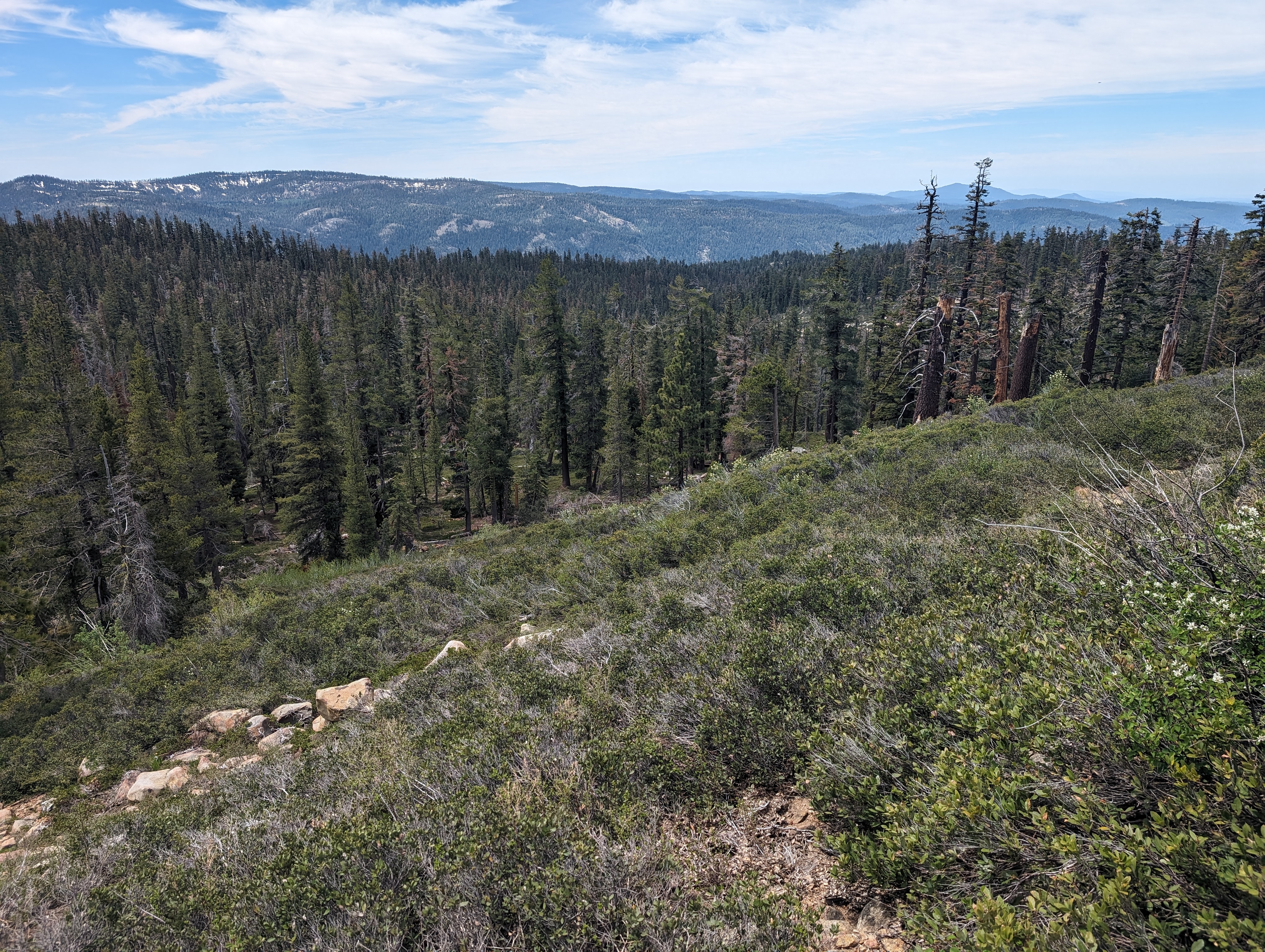 No adventure is complete without some bushwhacking