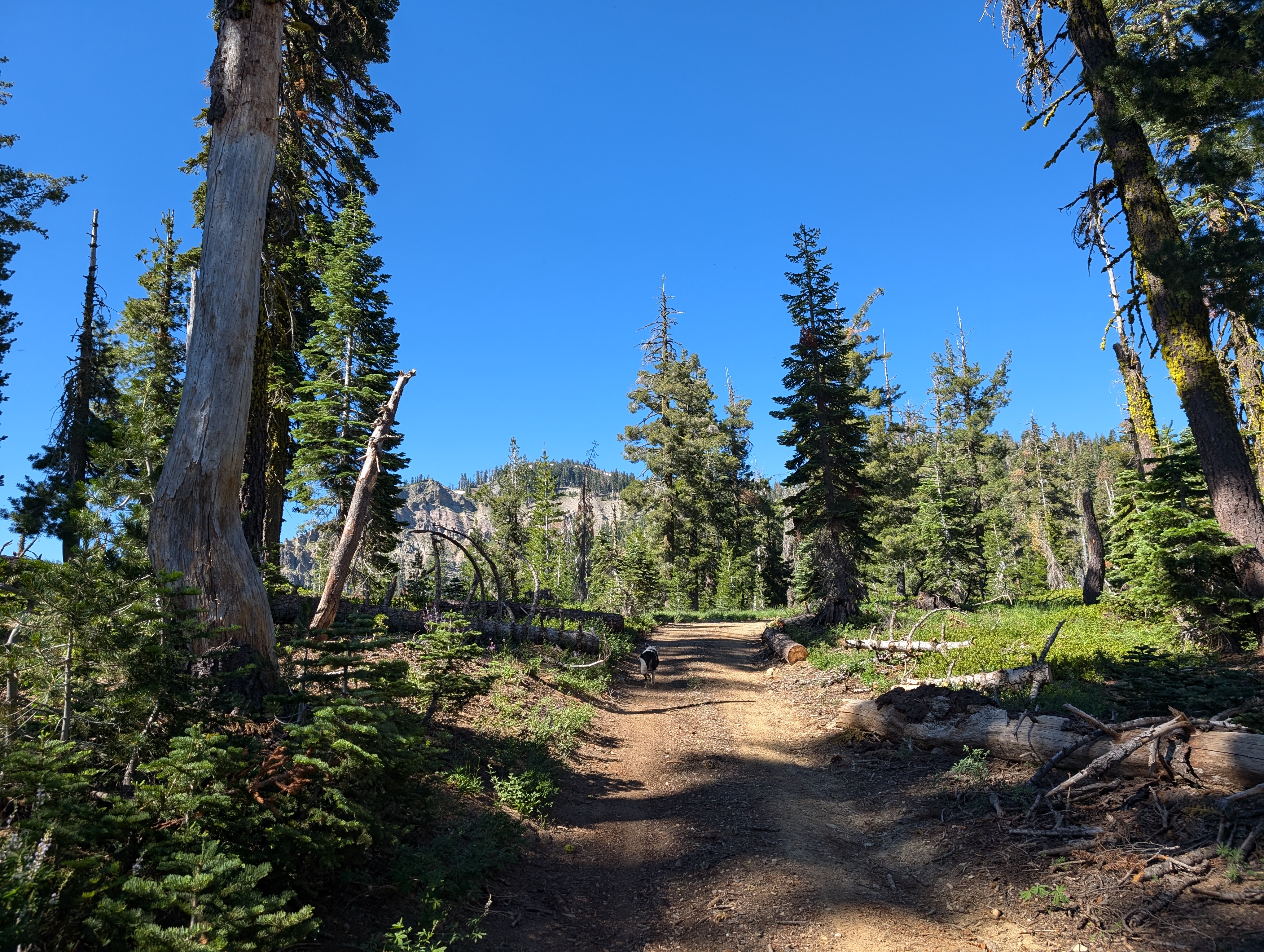 George leading the way up the dirt road, Mt Fillmore in the distance