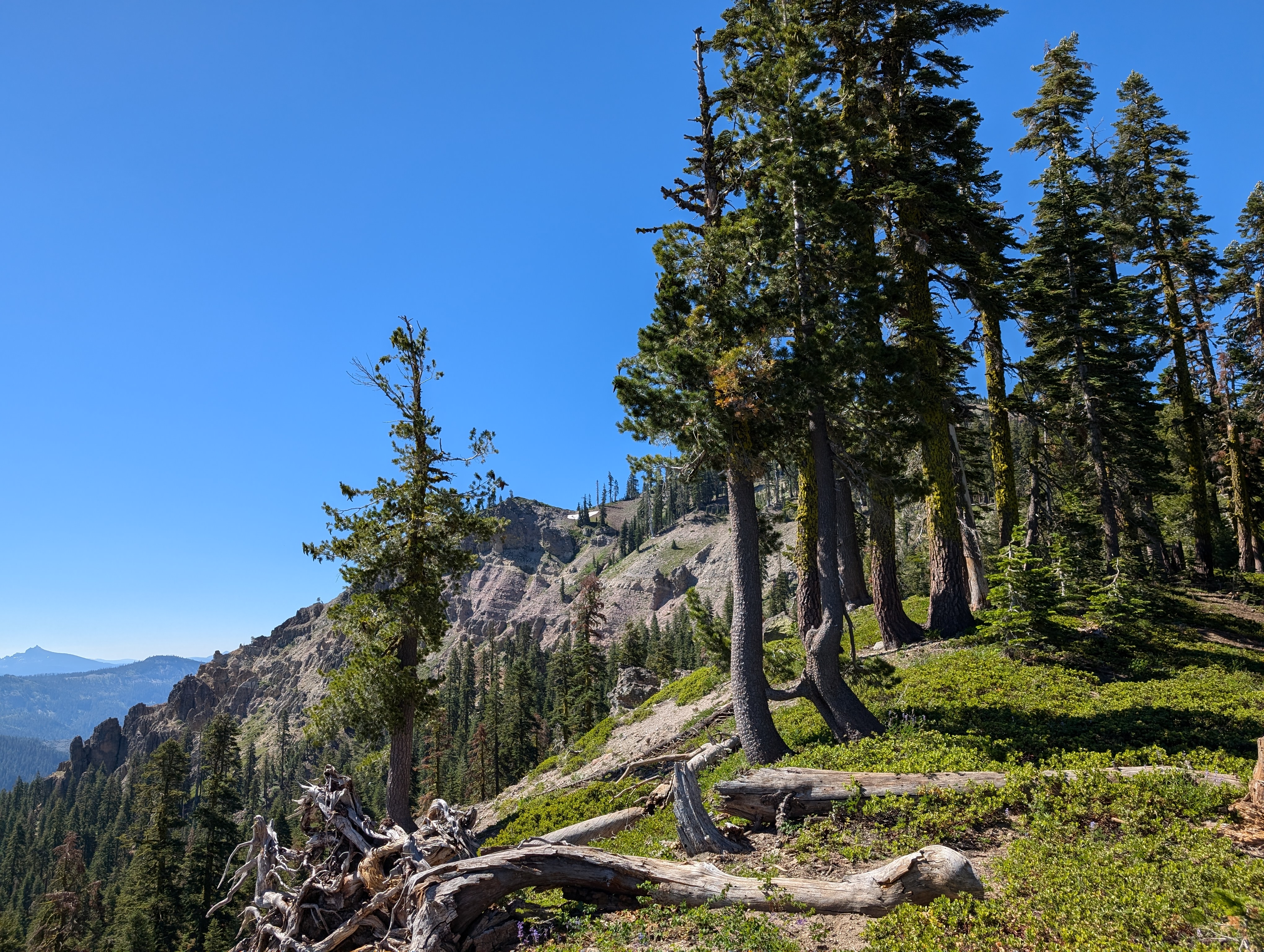 The Sierra Buttes in the distance