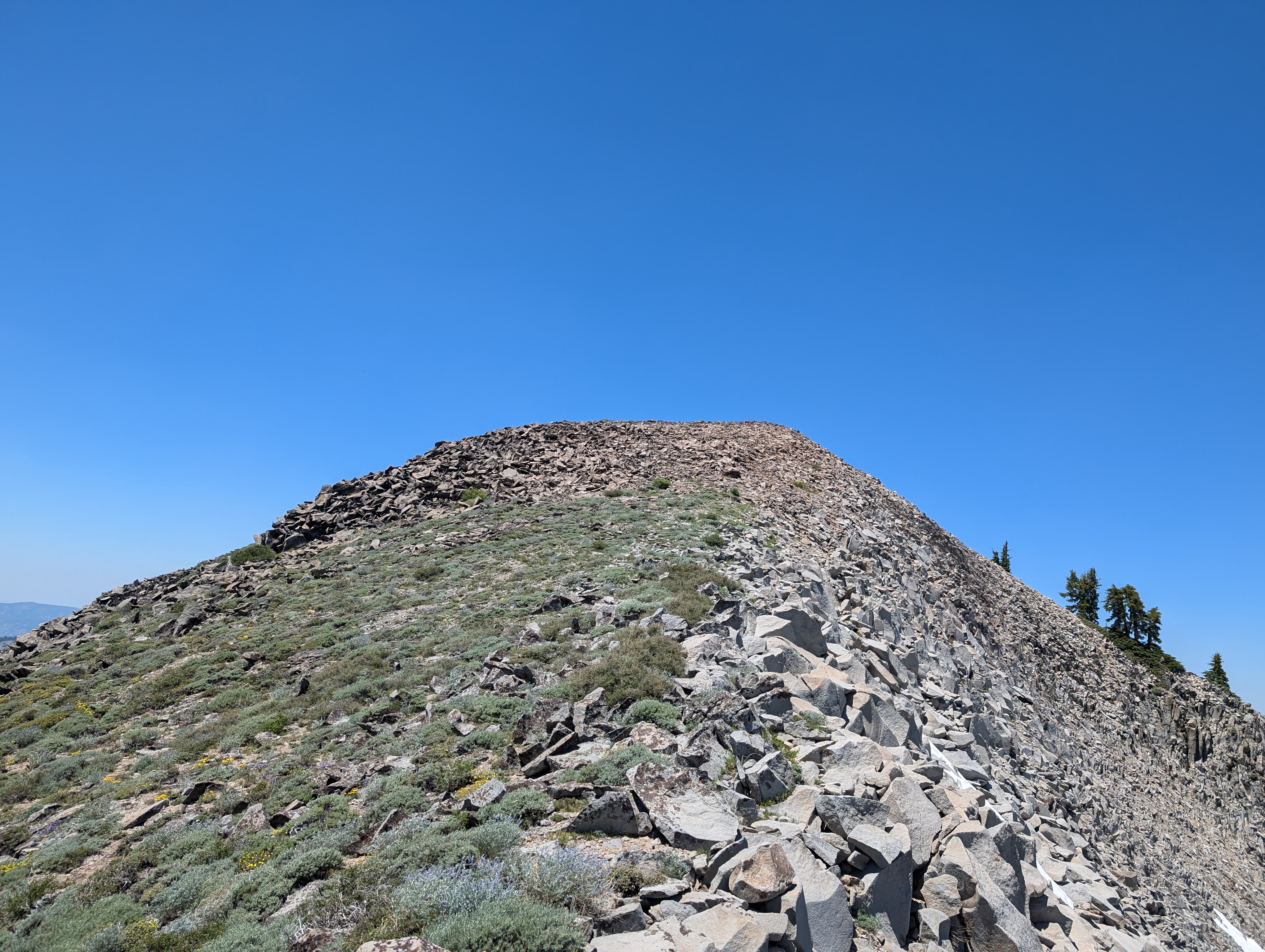 Nearing the summit of Lyon Peak