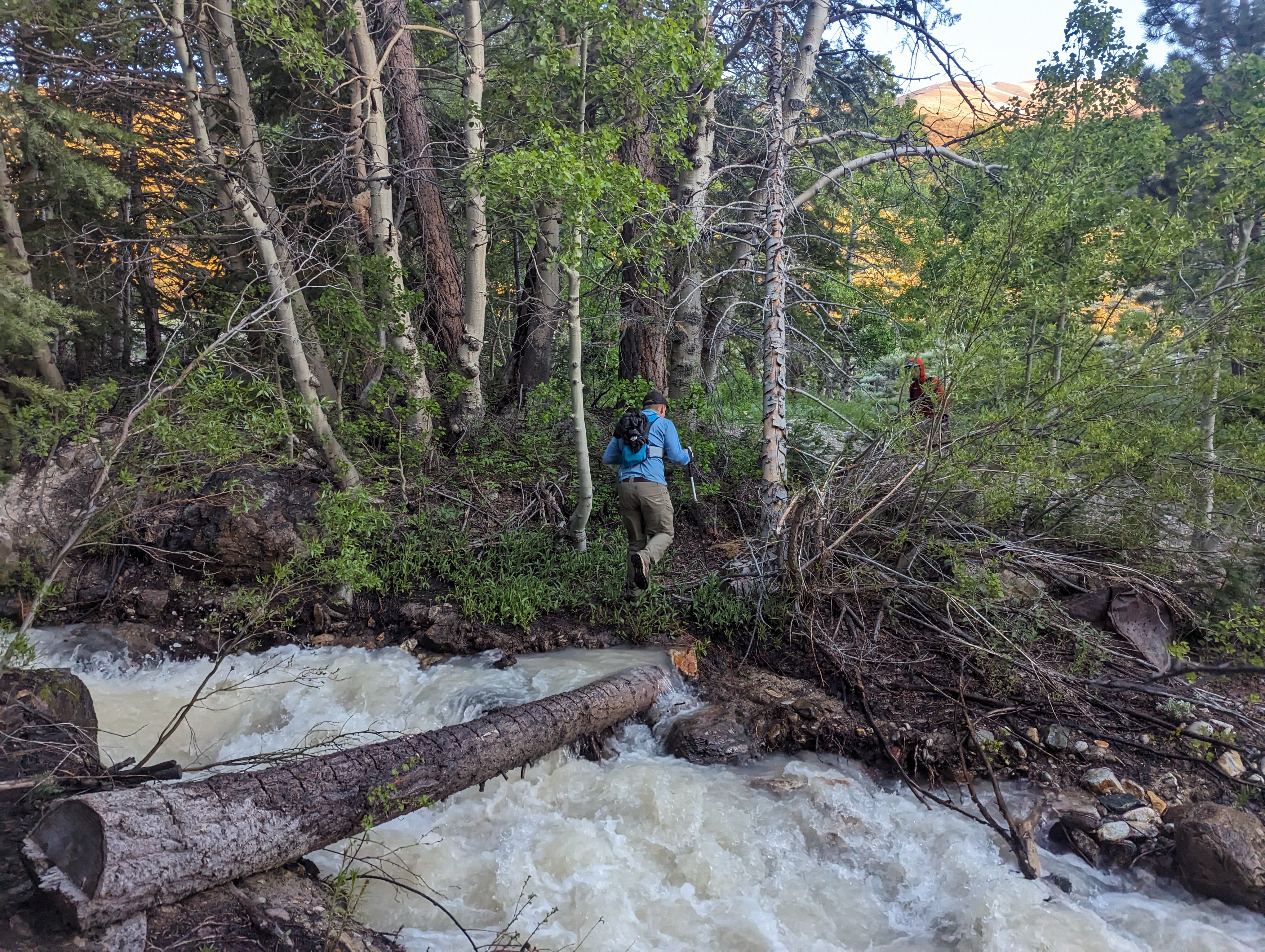 Chris across the log crossing