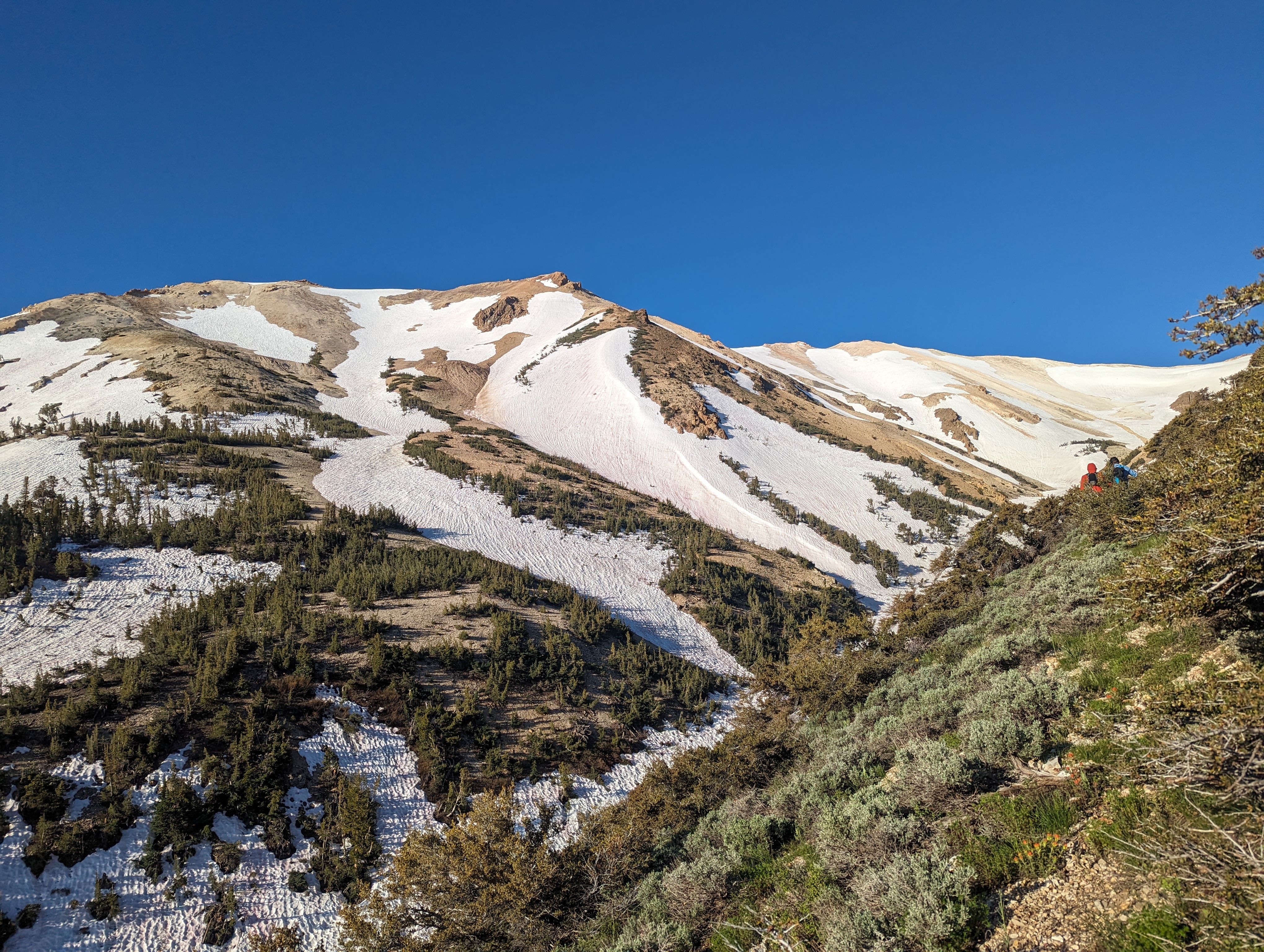 Looking up to the top of the canyon