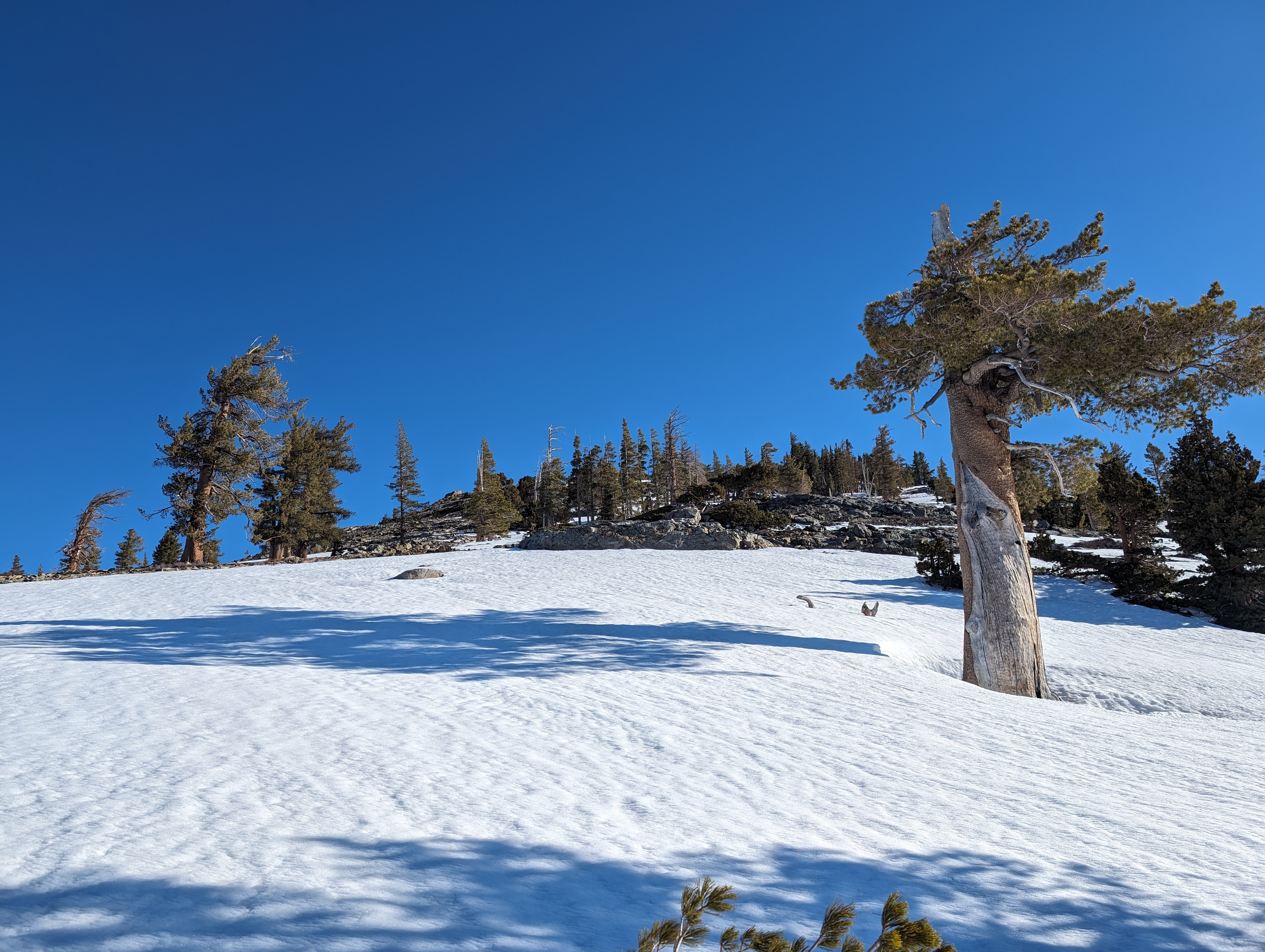 Getting close to the summit